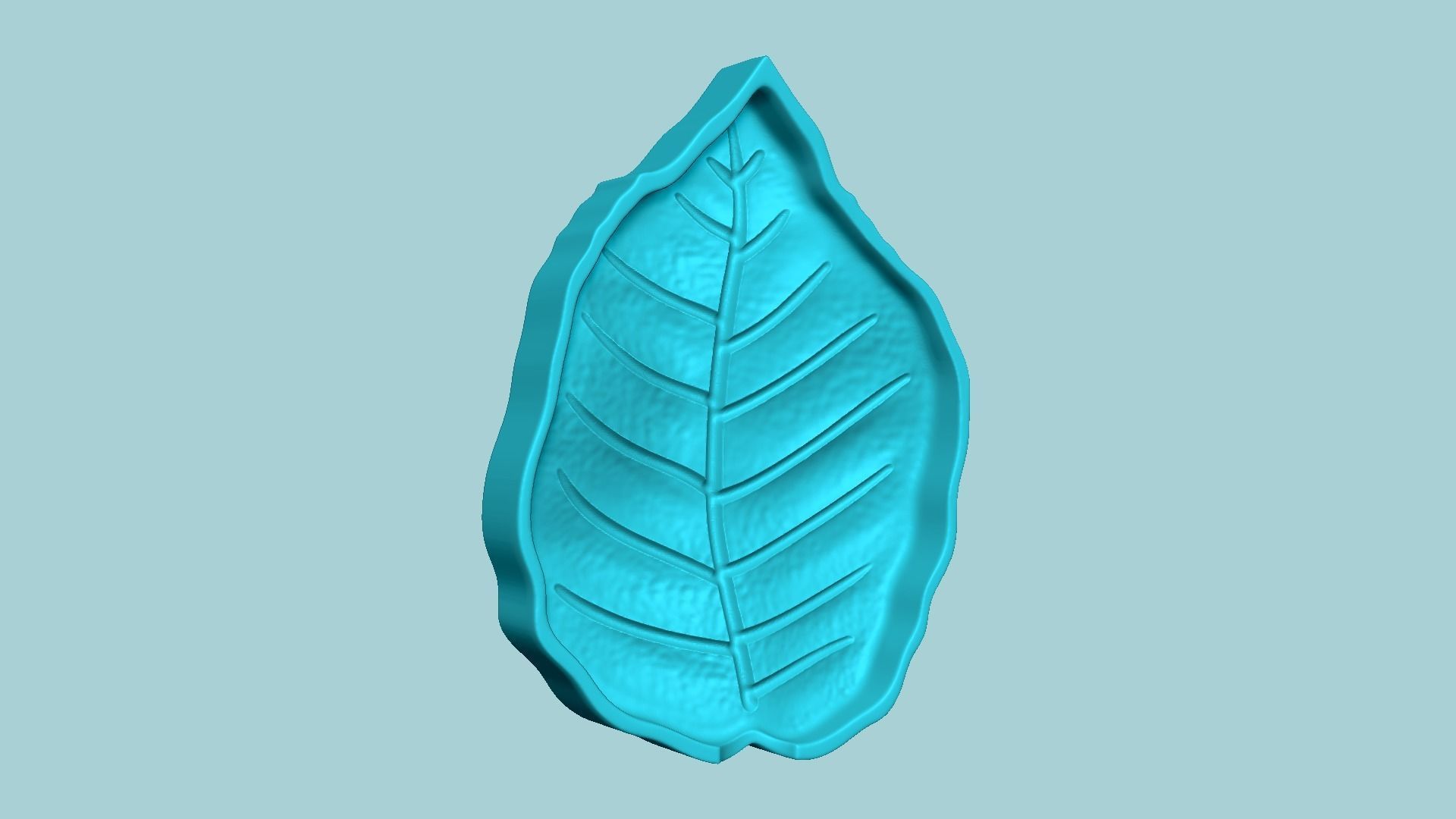 European Beech Leaf - Molding Artificial EVA Craft 3D print model_4