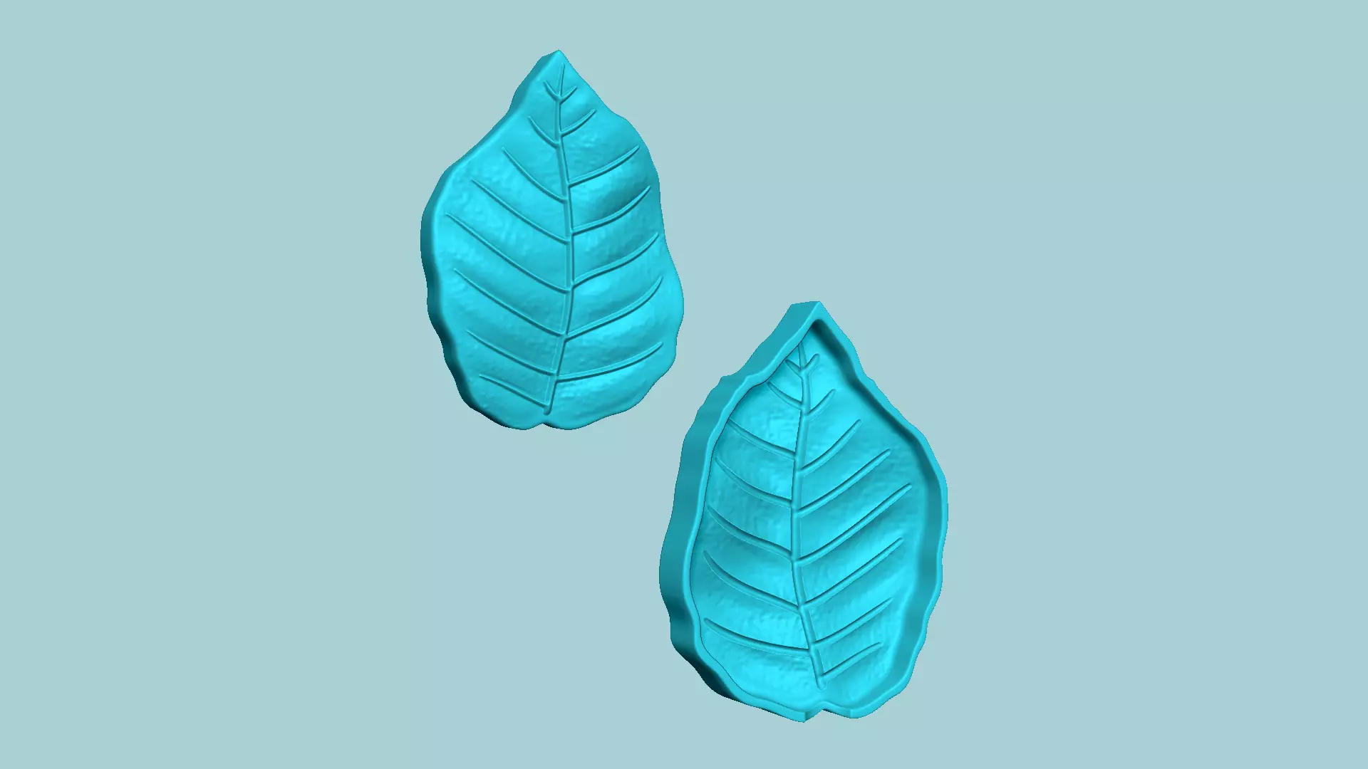 European Beech Leaf - Molding Artificial EVA Craft 3D print model_0