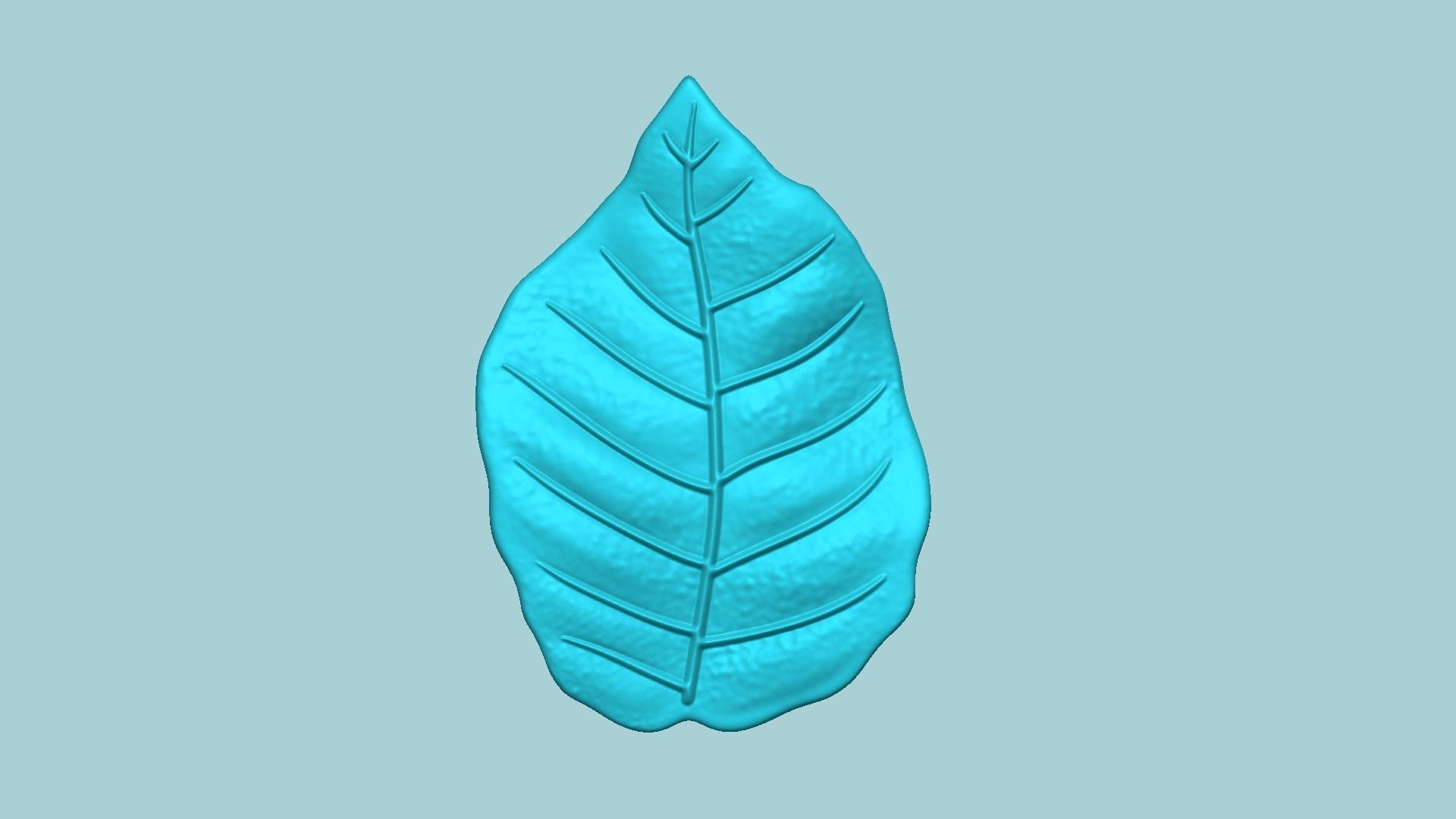 European Beech Leaf - Molding Artificial EVA Craft 3D print model_1
