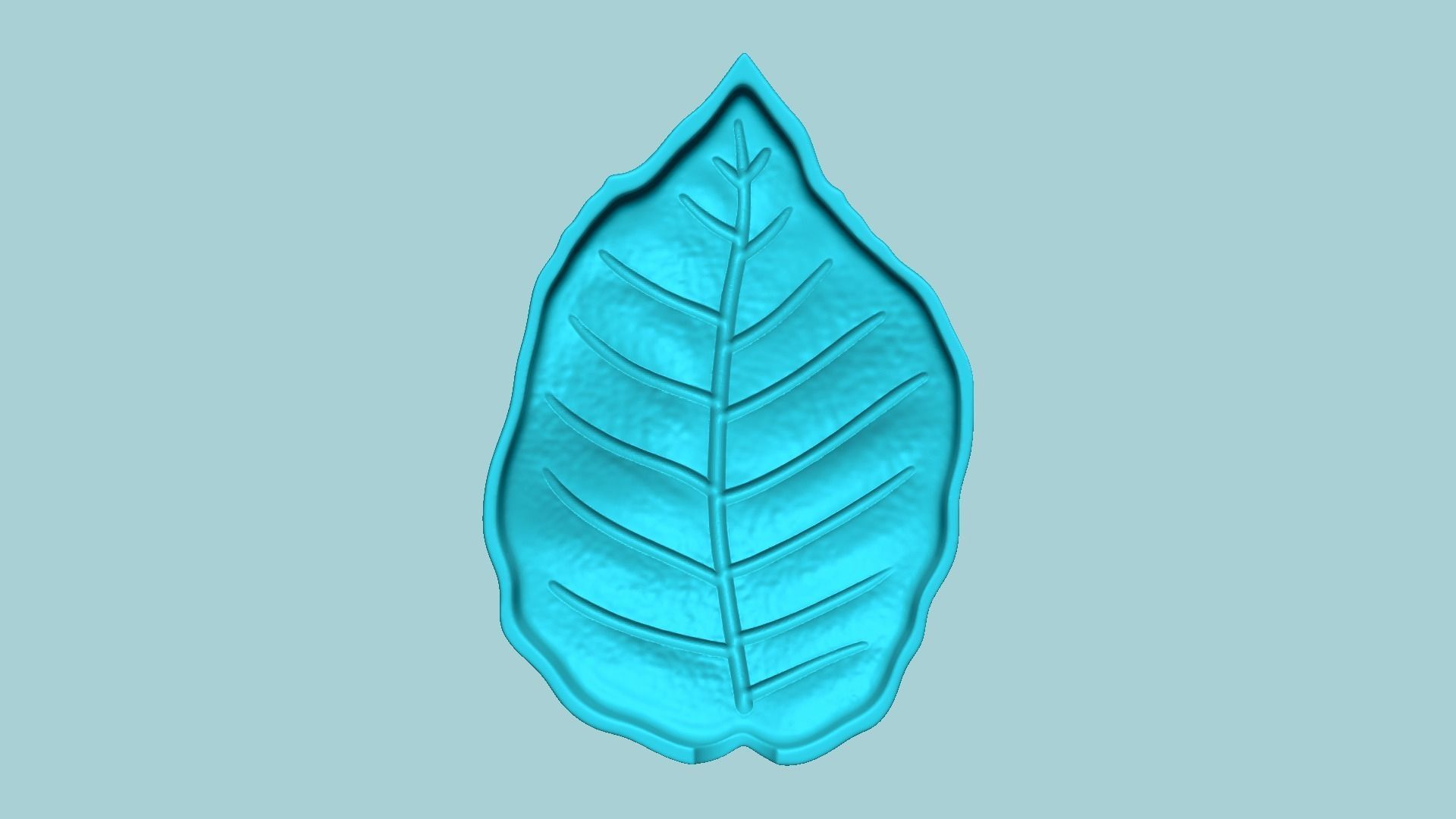 European Beech Leaf - Molding Artificial EVA Craft 3D print model_3