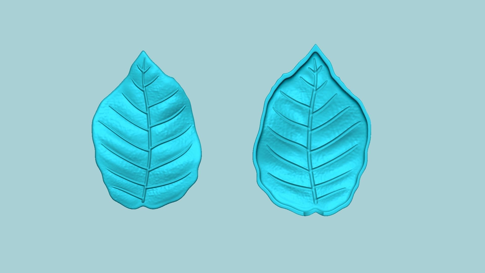 European Beech Leaf - Molding Artificial EVA Craft 3D print model_6