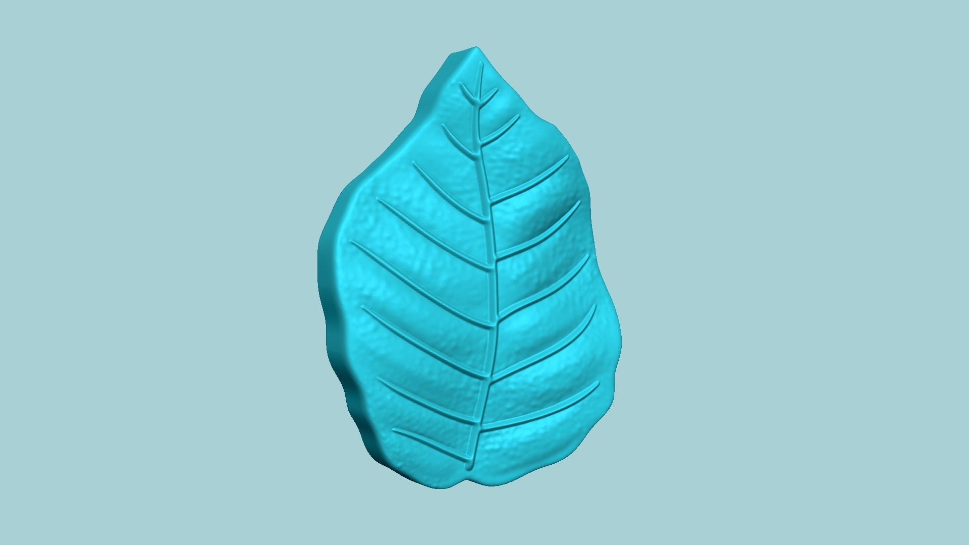 European Beech Leaf - Molding Artificial EVA Craft 3D print model_2