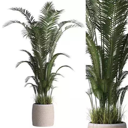 Indoor plant set 07 3D model