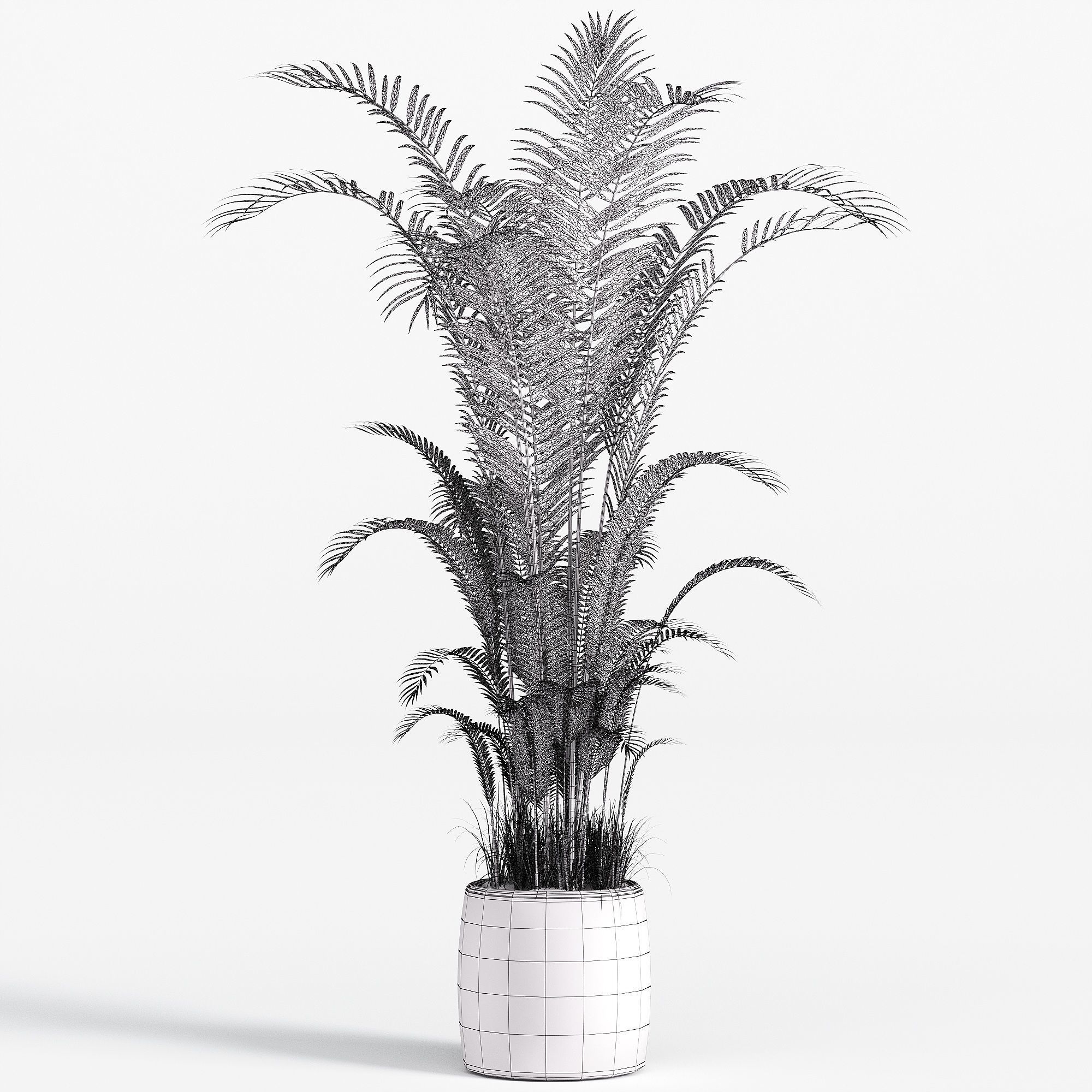 Indoor plant set 07 3D model_2
