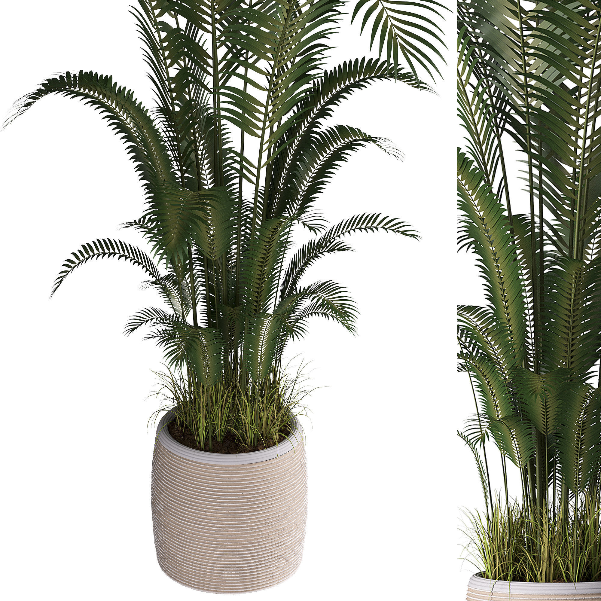 Indoor plant set 07 3D model_1