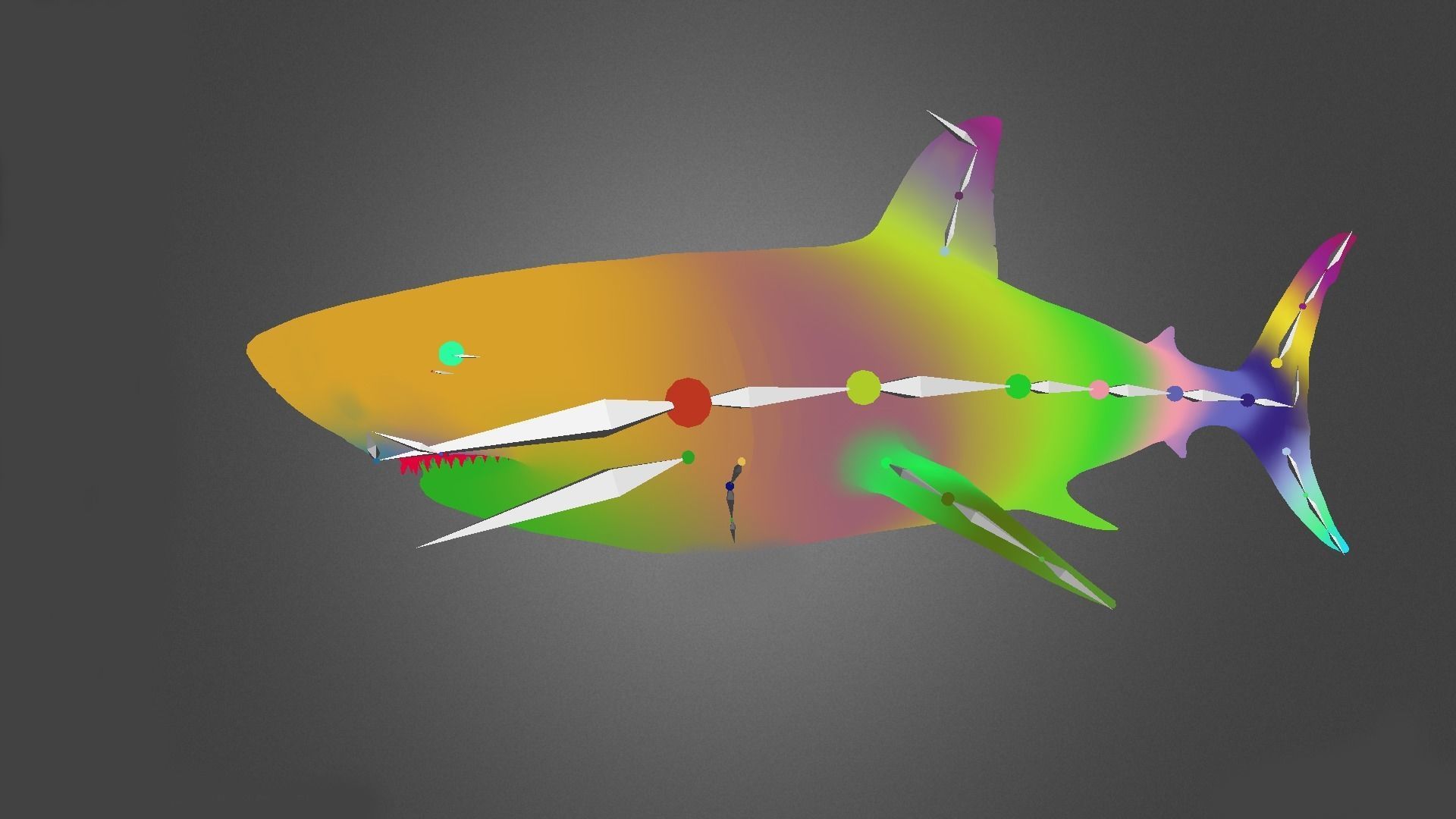 Shark Animation Low-poly 3D model_10