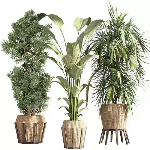  Indoor collection plants set 03 3D model