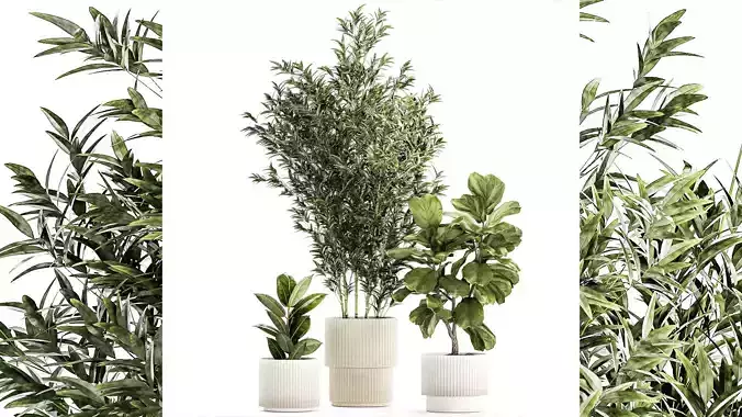 Set of small plants ficus lyrata tree pot bush bamboo 1451