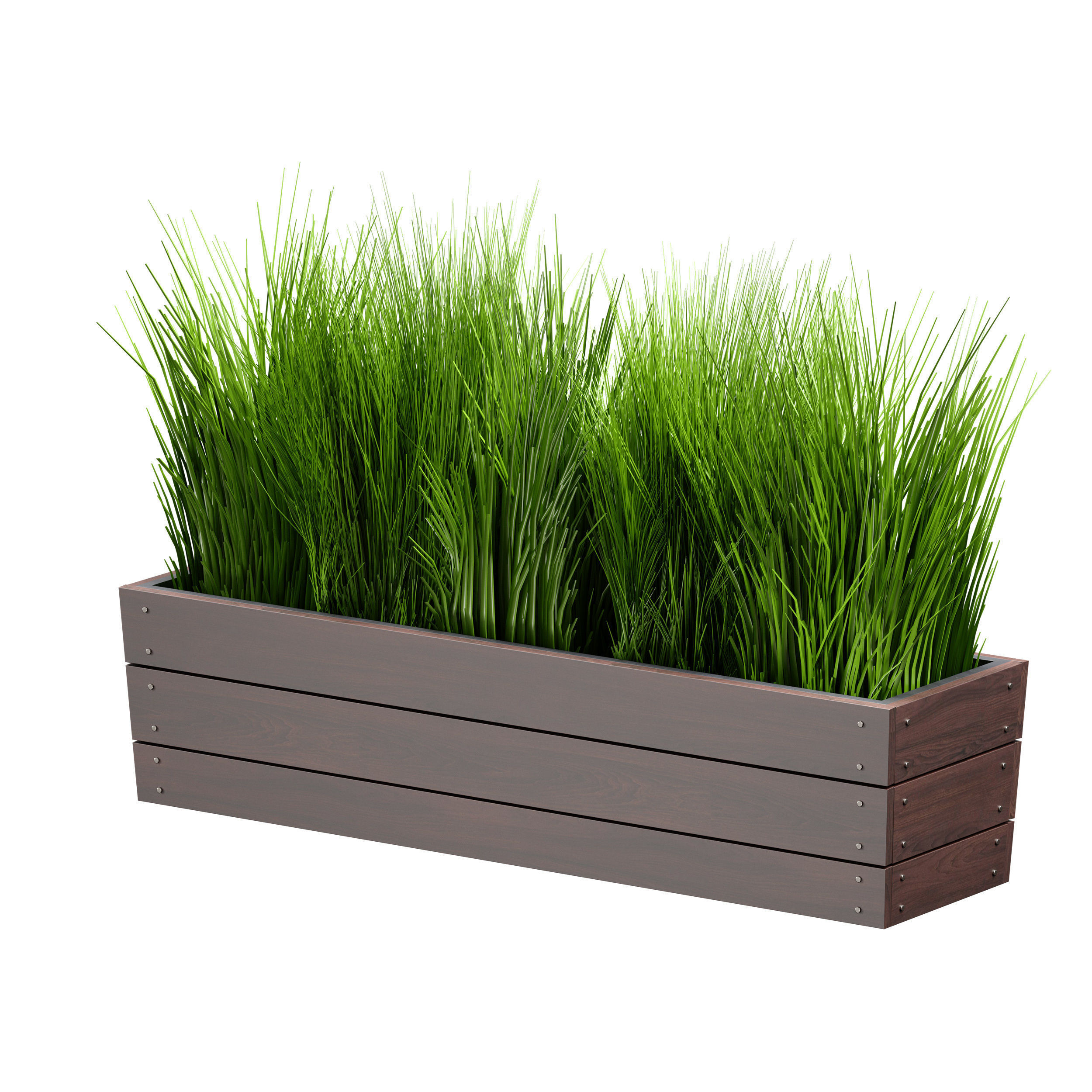 Grass in pots Plants in boxes 3D model_19