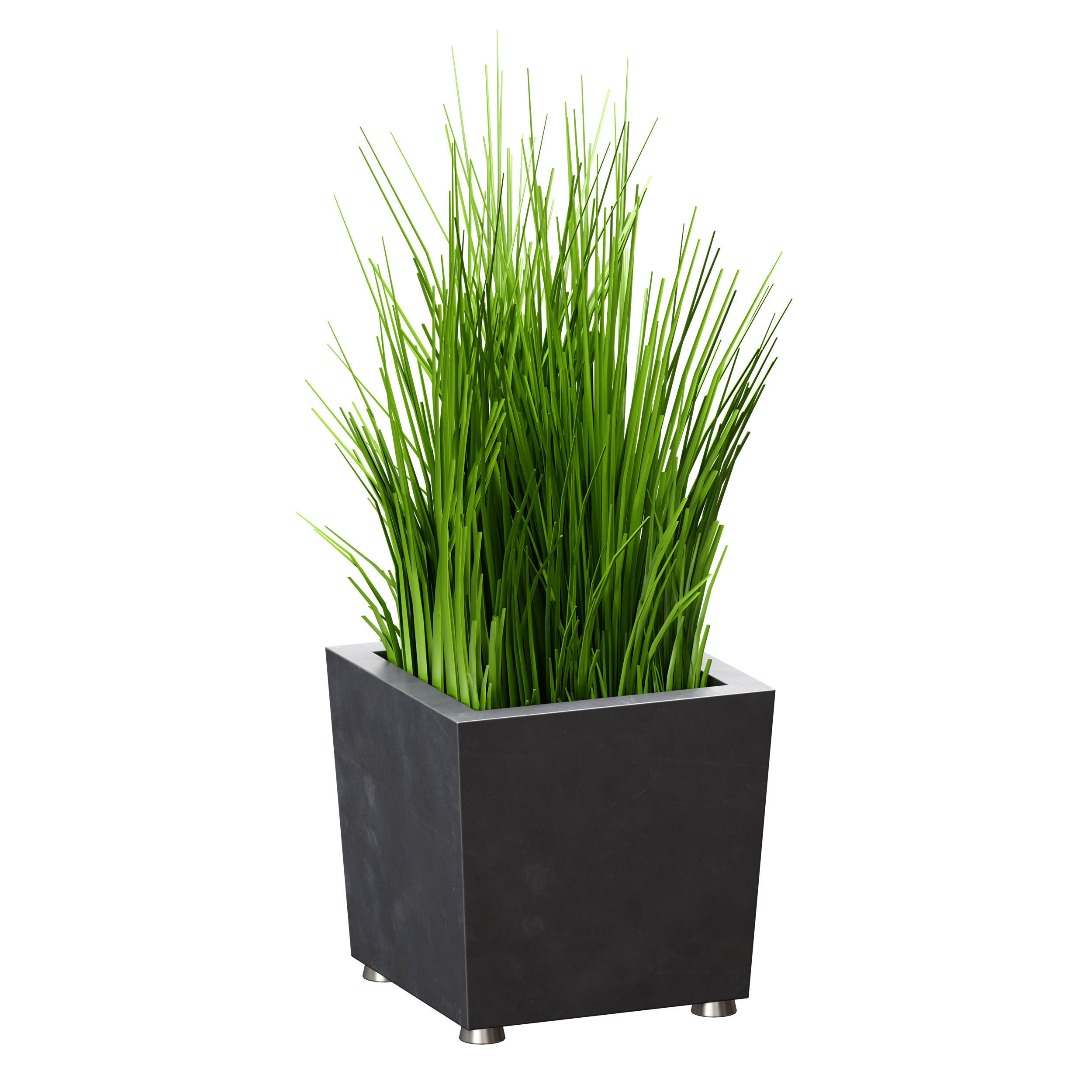 Grass in pots Plants in boxes 3D model_6