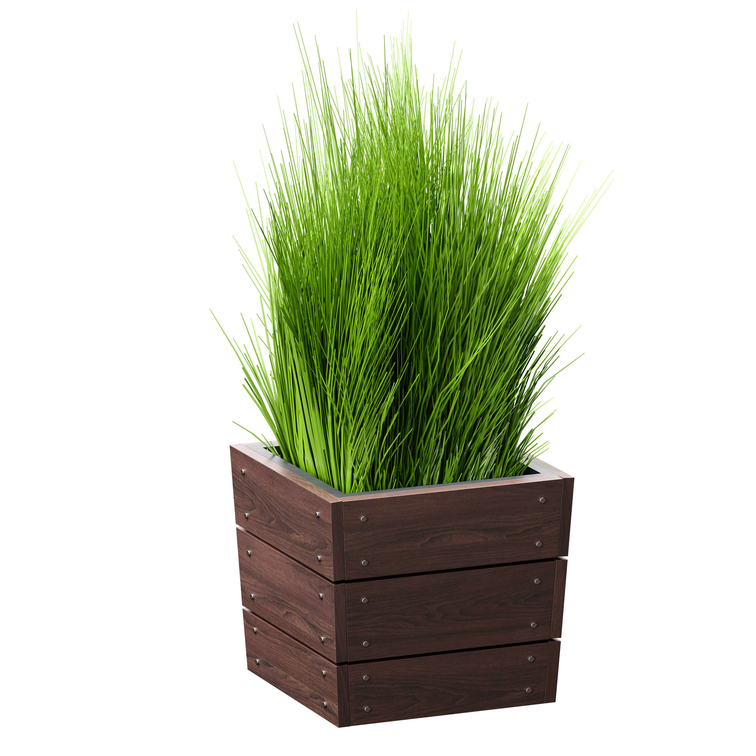 Grass in pots Plants in boxes 3D model_7