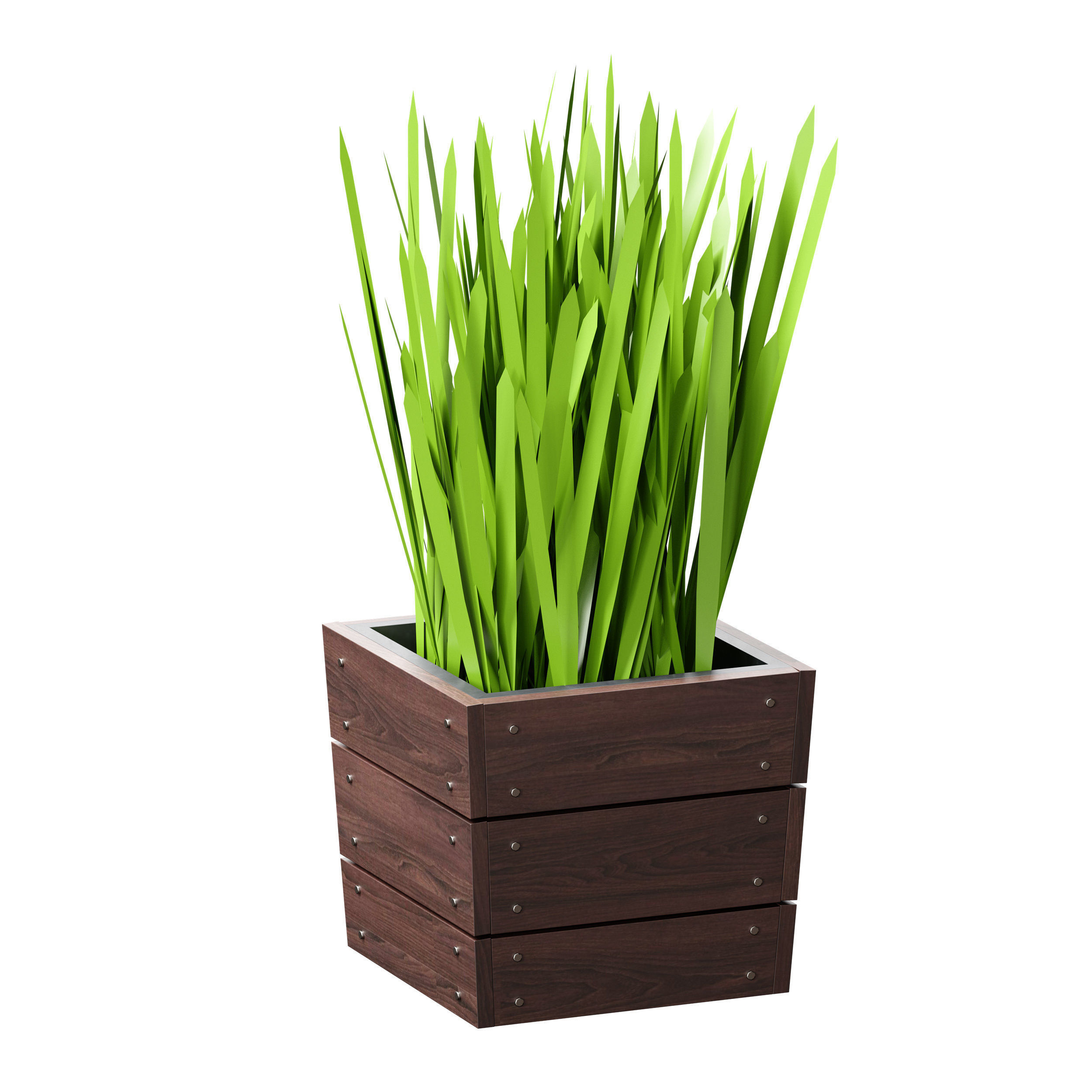 Grass in pots Plants in boxes 3D model_9