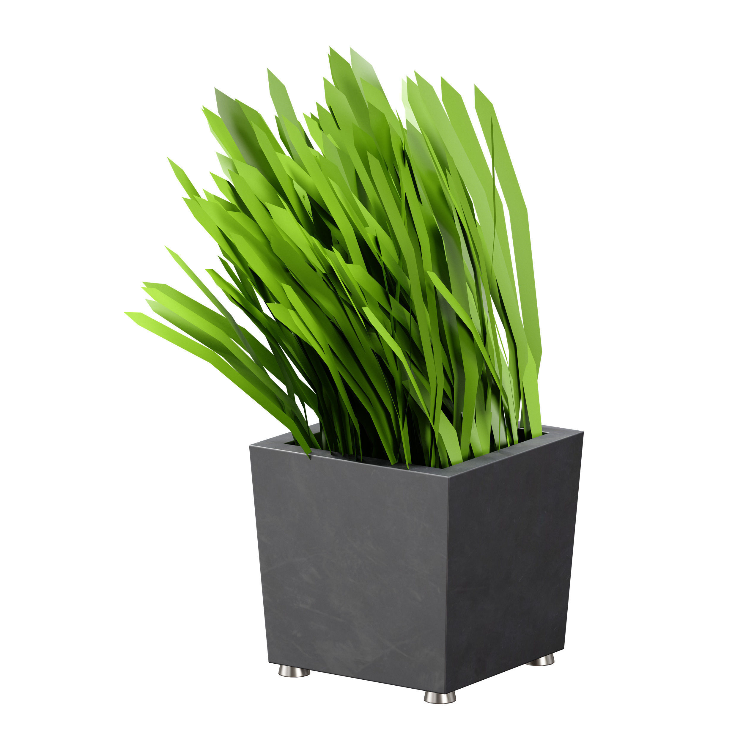 Grass in pots Plants in boxes 3D model_13