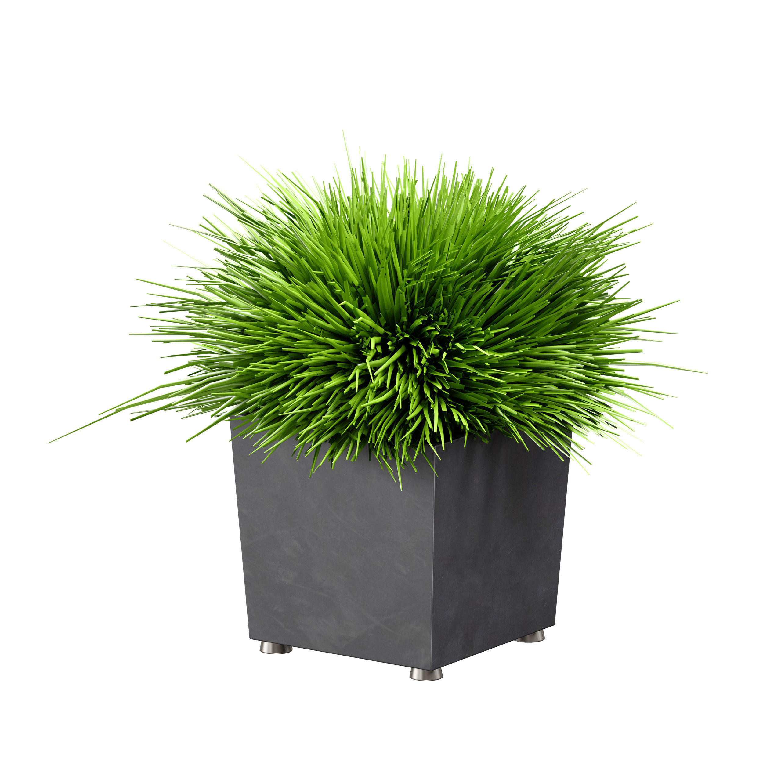 Grass in pots Plants in boxes 3D model_17