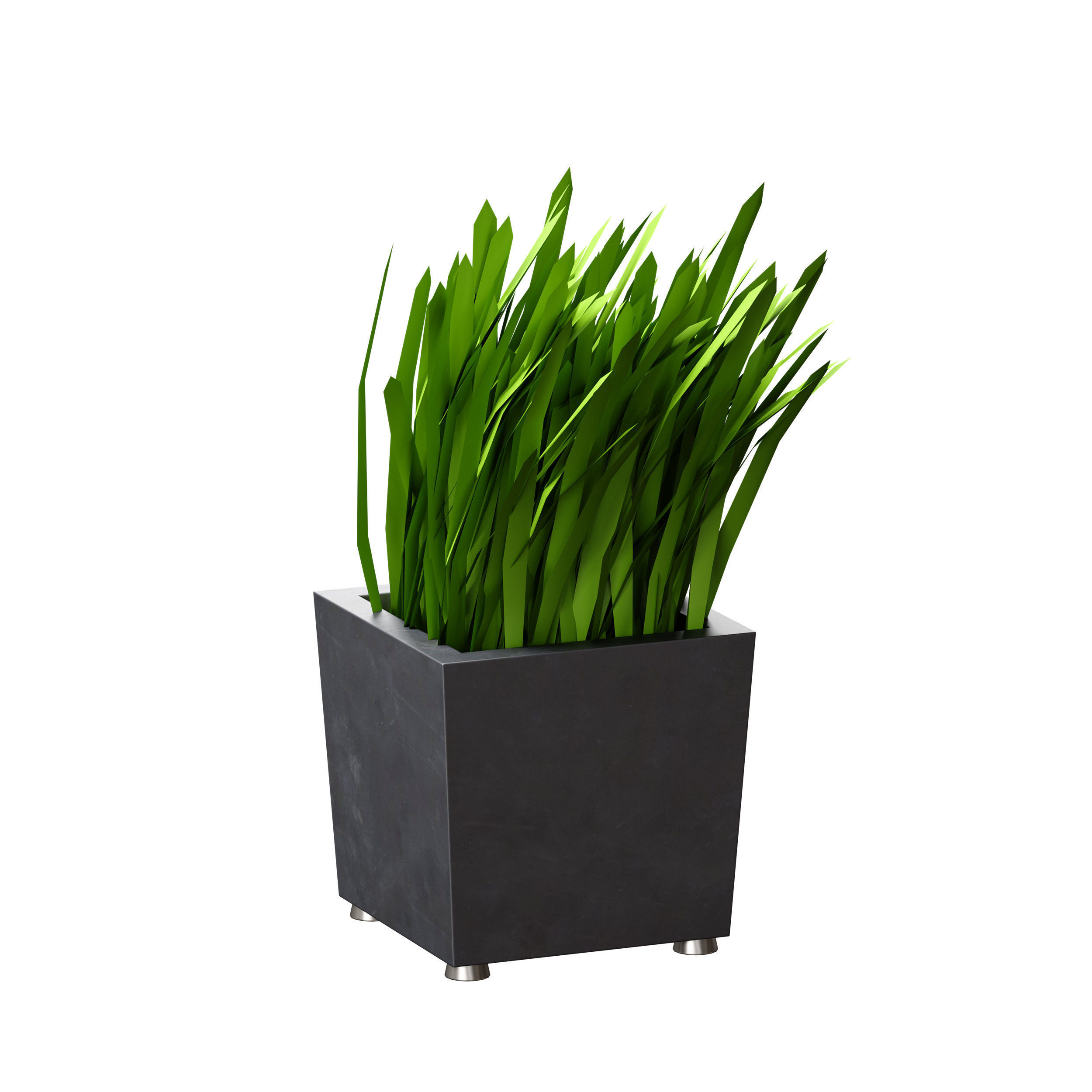 Grass in pots Plants in boxes 3D model_10