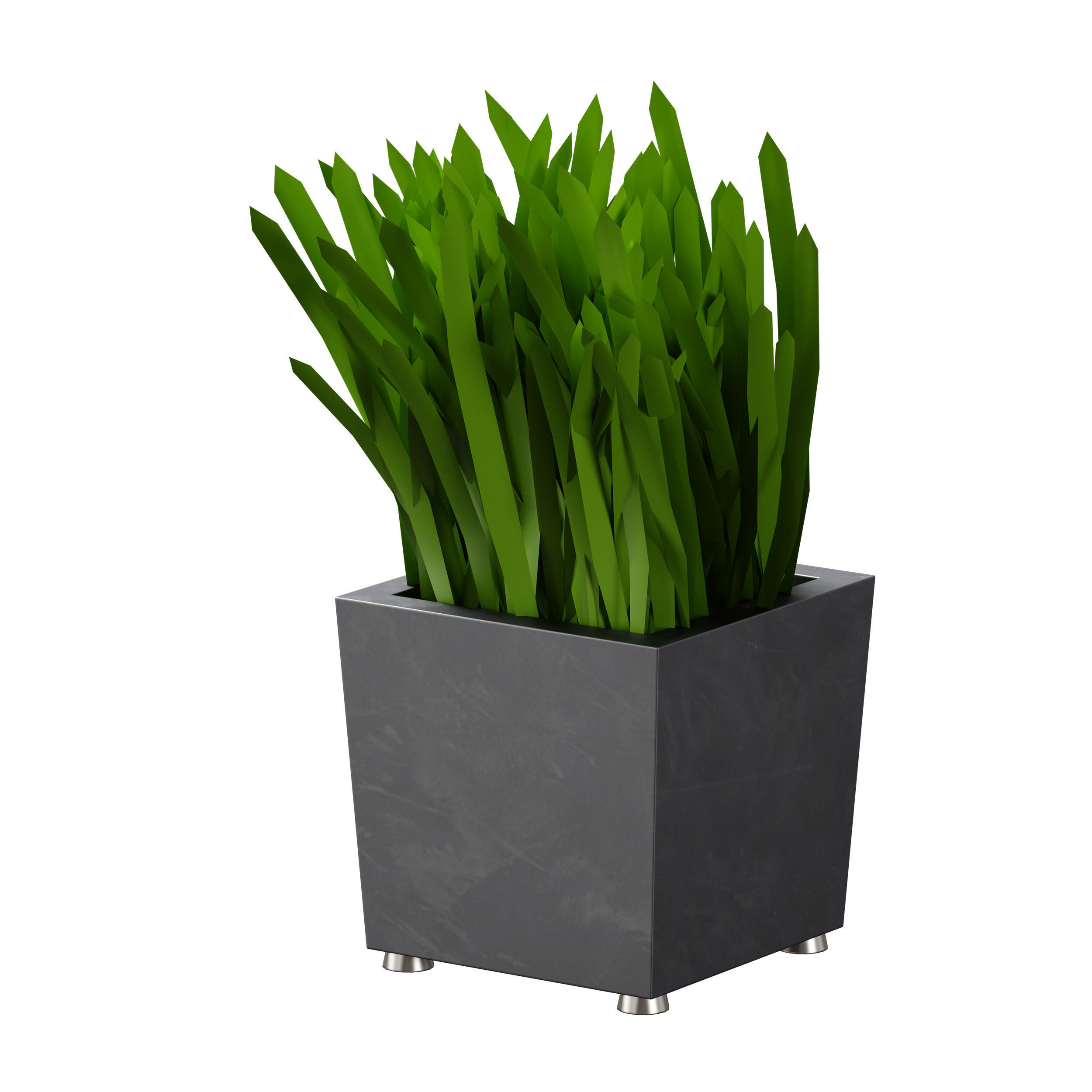 Grass in pots Plants in boxes 3D model_11
