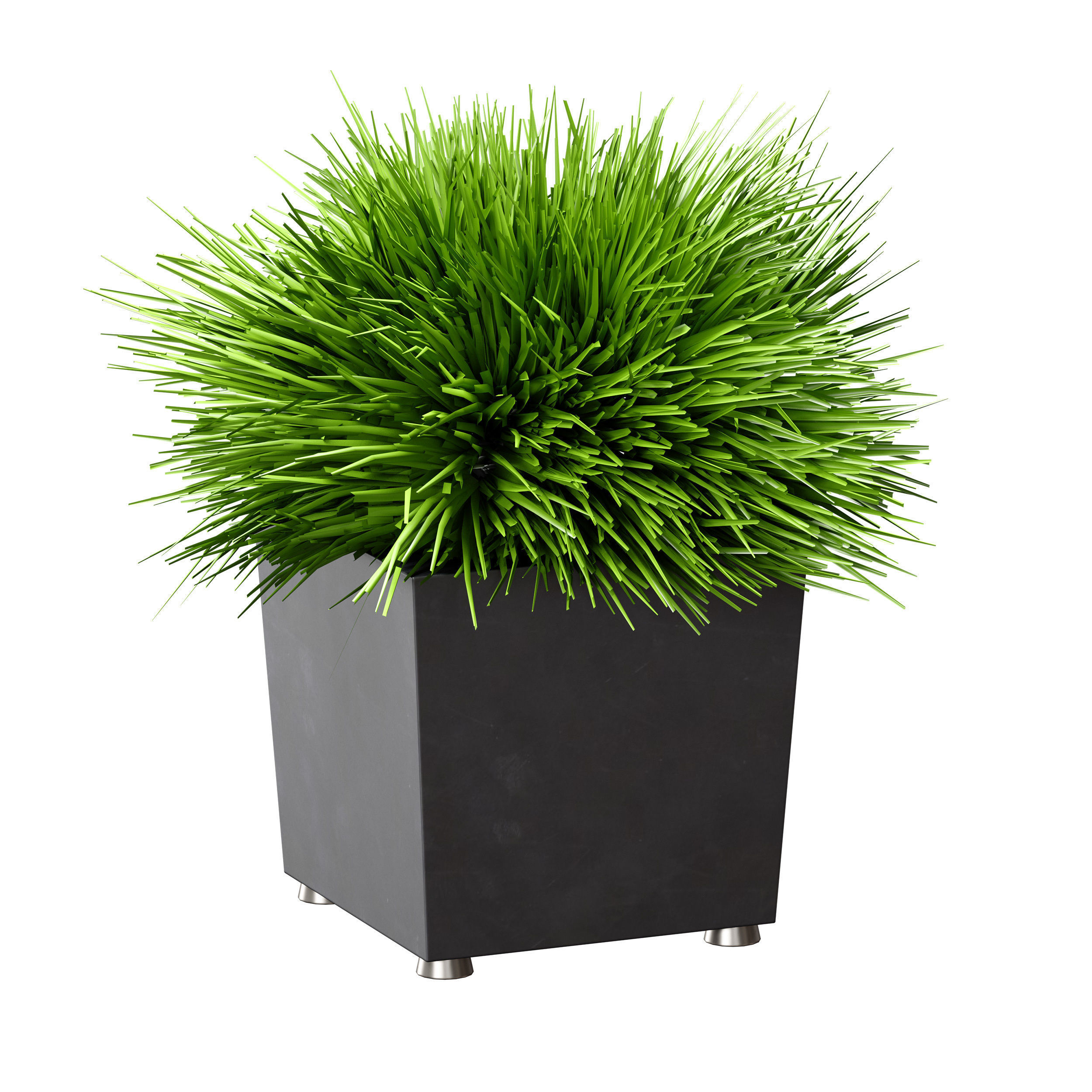 Grass in pots Plants in boxes 3D model_4