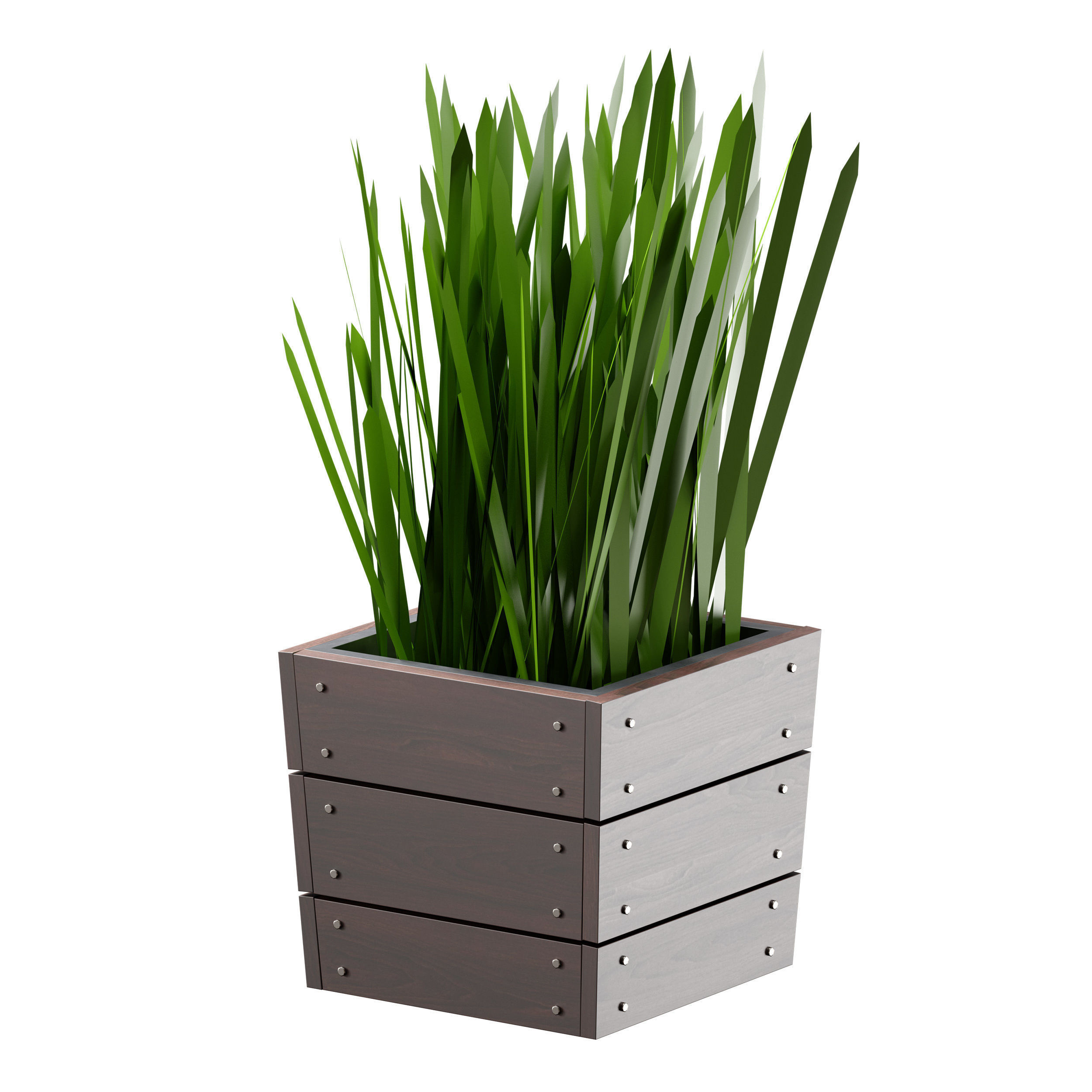 Grass in pots Plants in boxes 3D model_12
