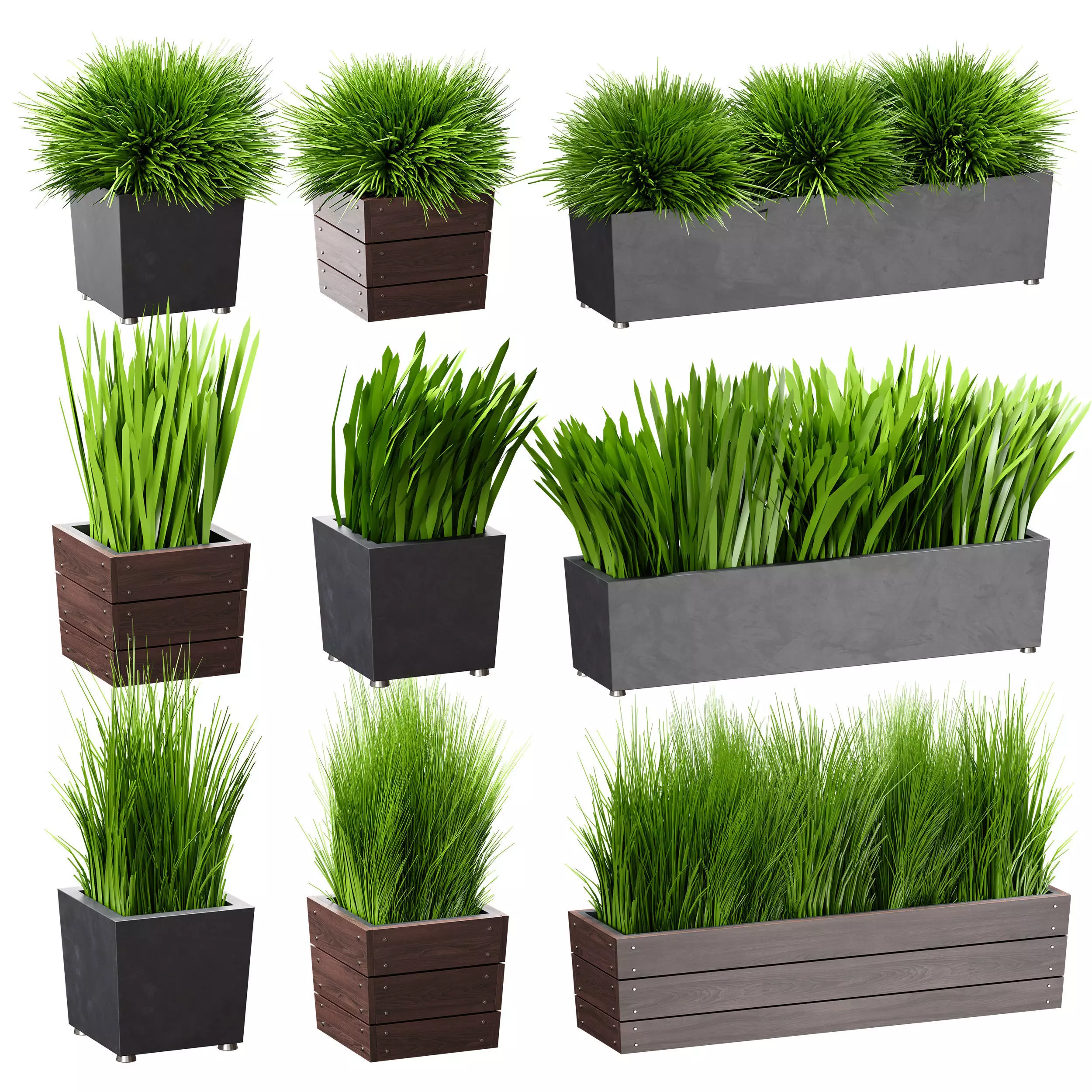 Grass in pots Plants in boxes 3D model_0