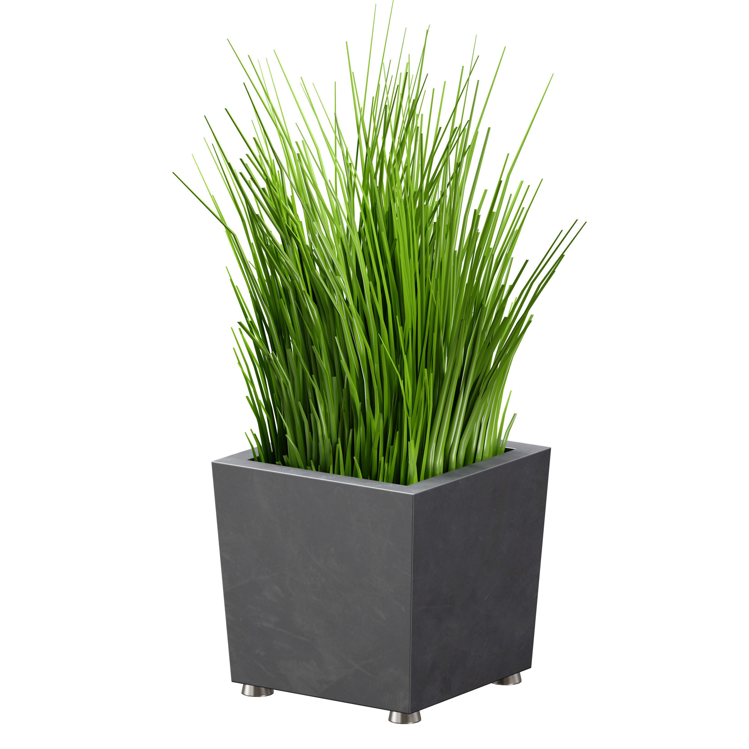 Grass in pots Plants in boxes 3D model_15