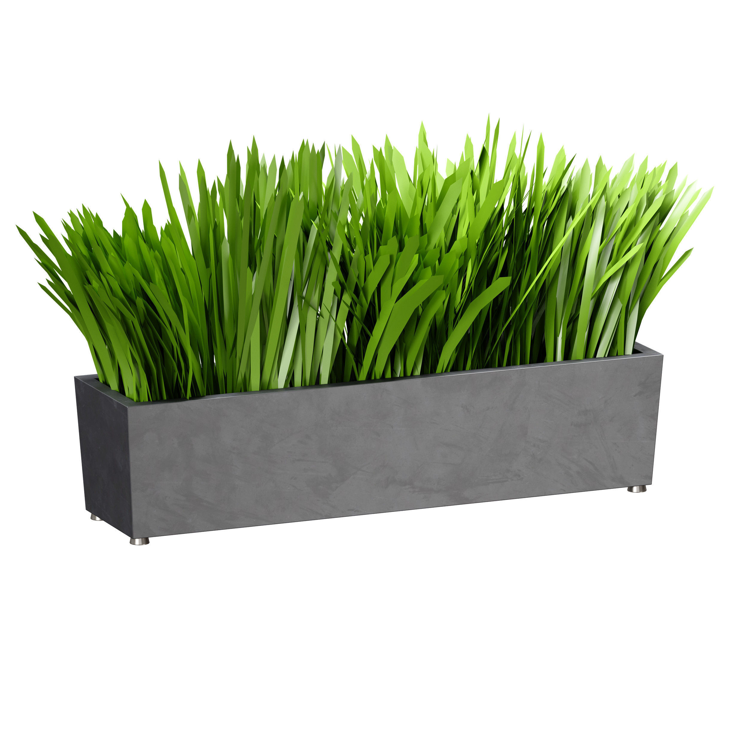 Grass in pots Plants in boxes 3D model_3