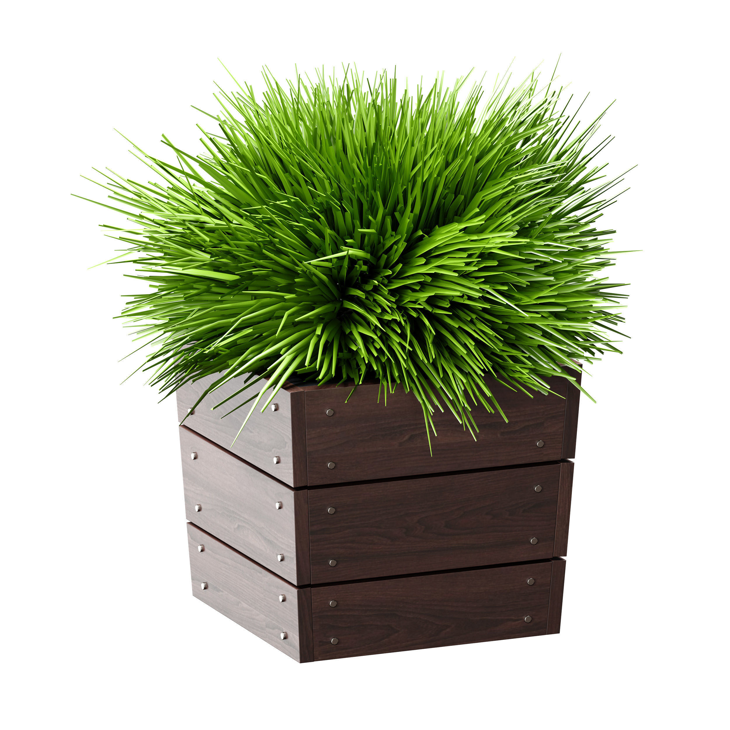 Grass in pots Plants in boxes 3D model_5