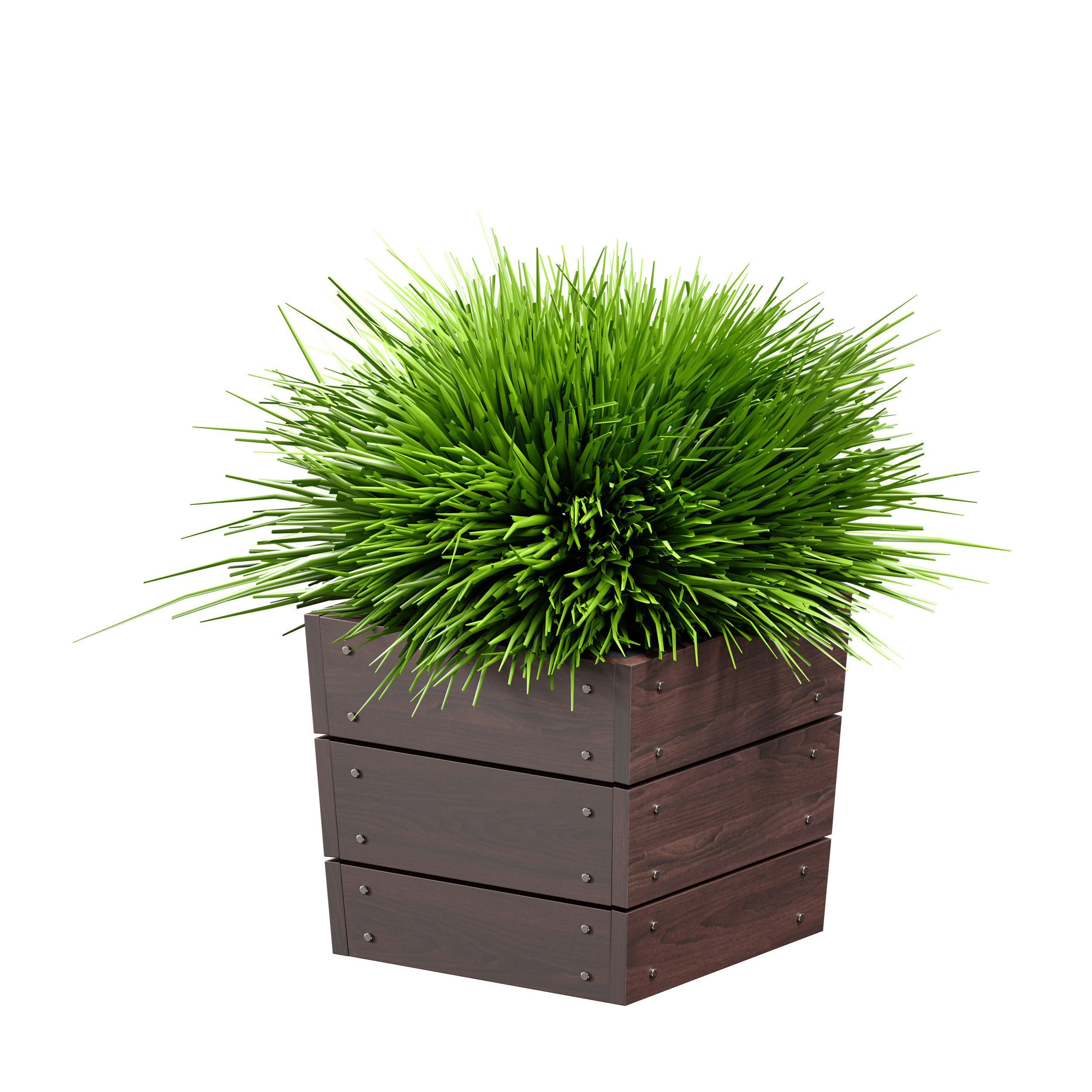 Grass in pots Plants in boxes 3D model_16