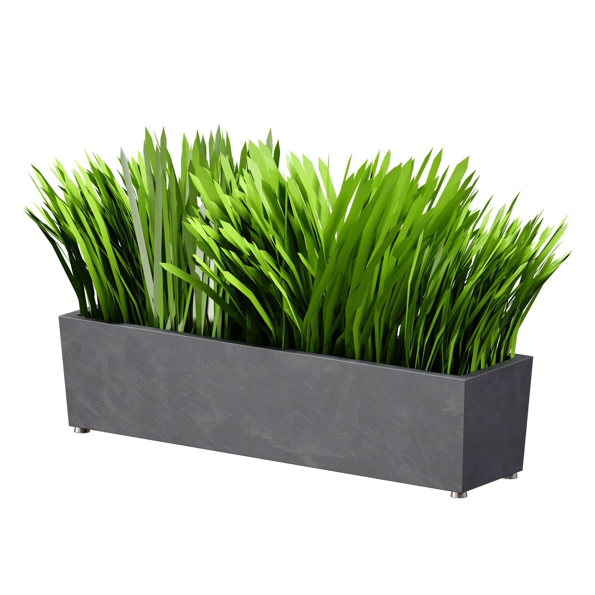 Grass in pots Plants in boxes 3D model_18
