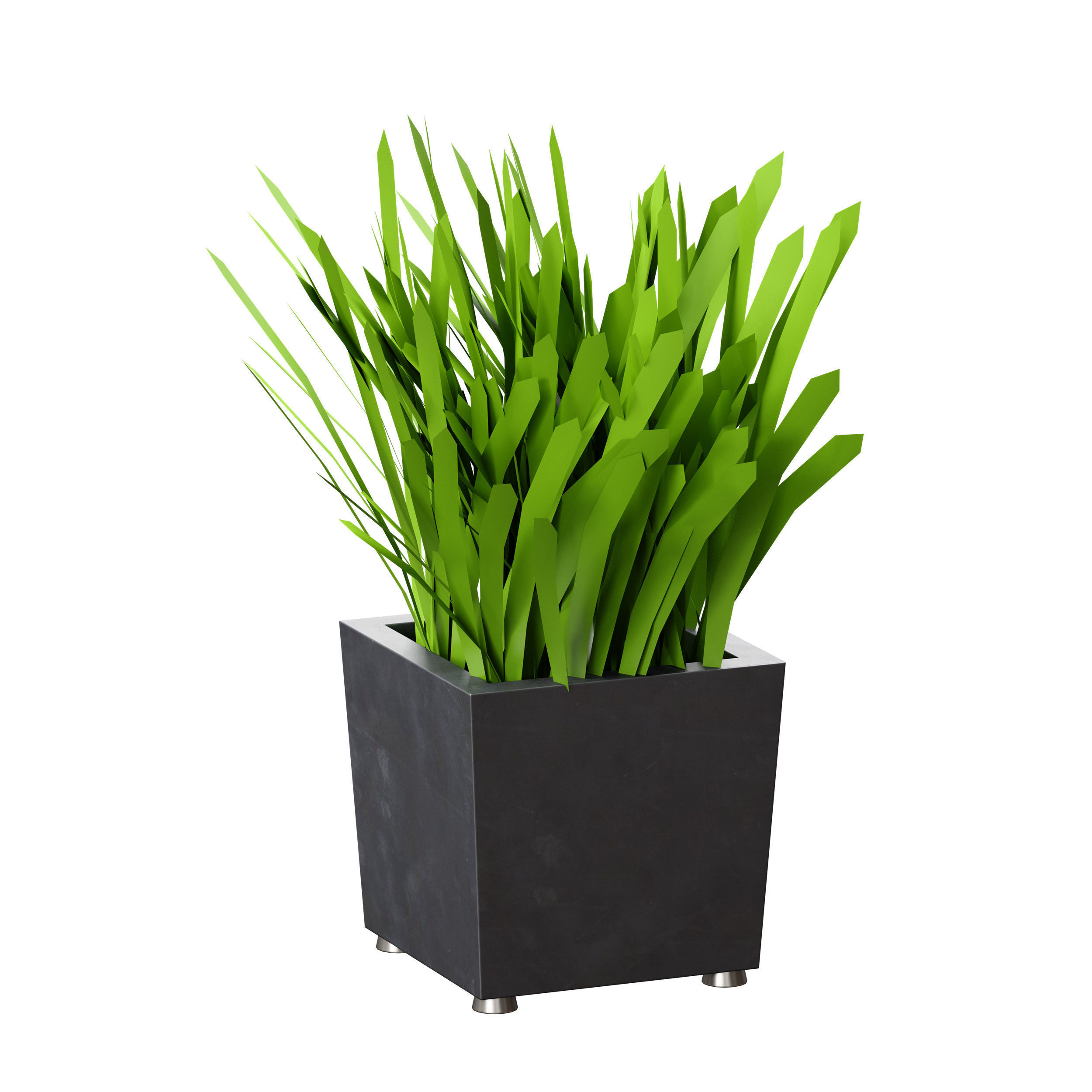 Grass in pots Plants in boxes 3D model_8