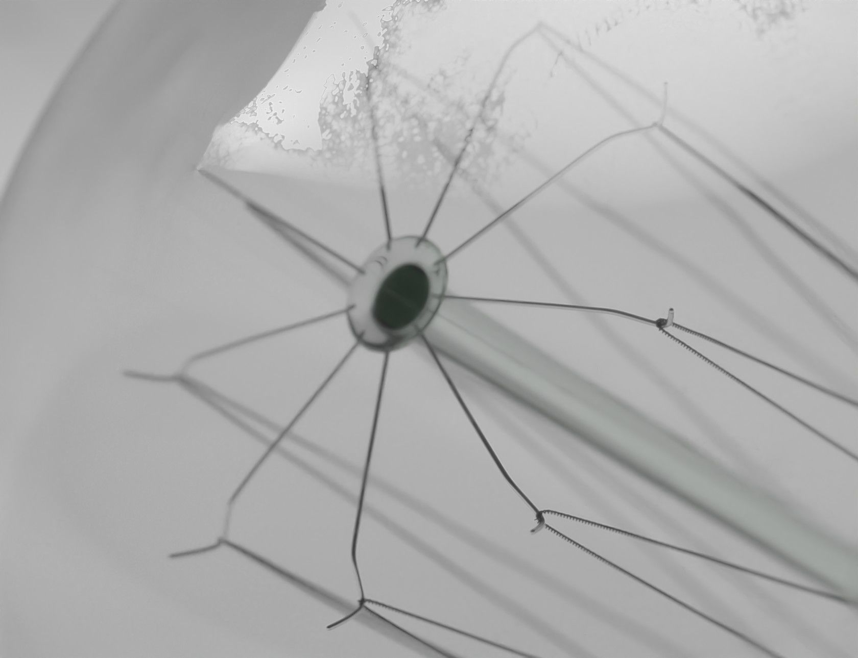 Vintage Light Bulb 3D Model 3D model_15