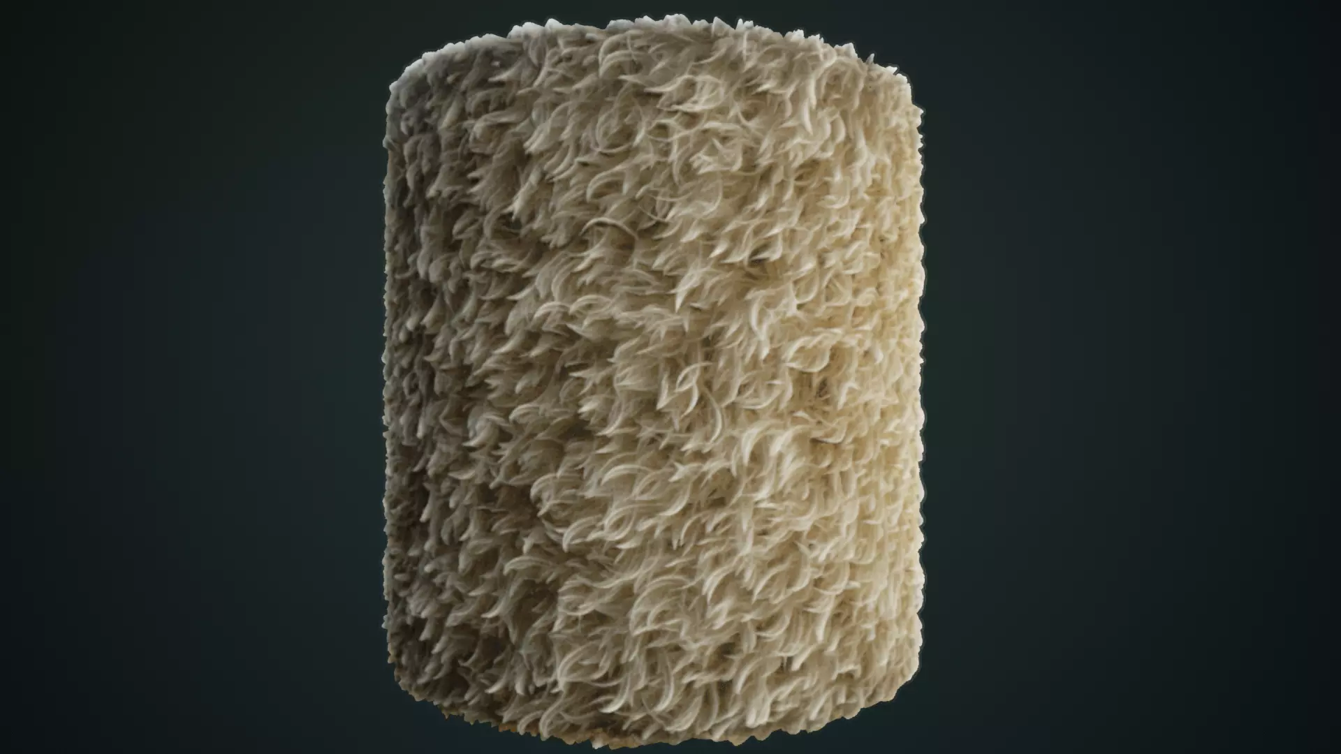 Seamless Fur material Texture