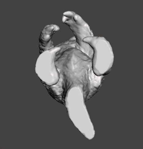 MEGATHERIUM REALISTIC FIGURE MINIATURE MODEL PREHISTORIC DND RPG 3D print model_5