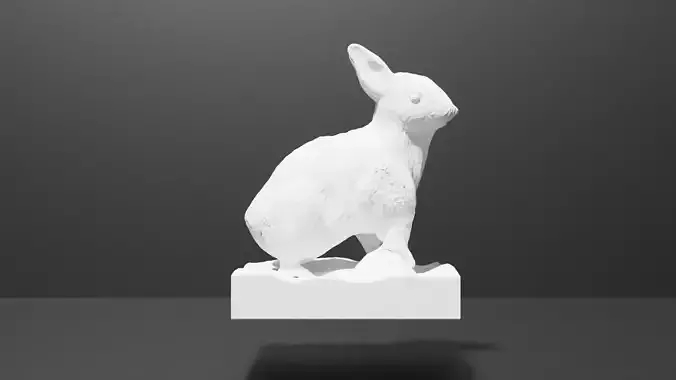 Rabbit 