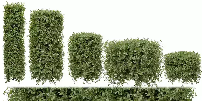 Collection plant vol 552 - blender model 