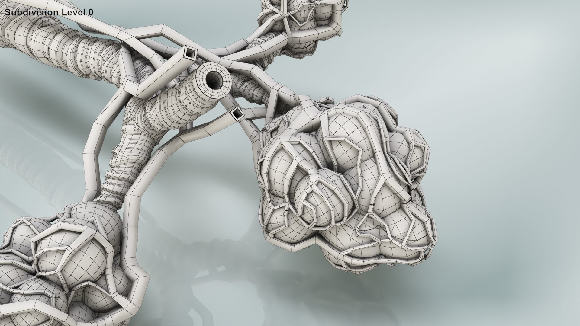 Anatomical Cross-Sectoion of LUNGS Low-poly 3D model_32