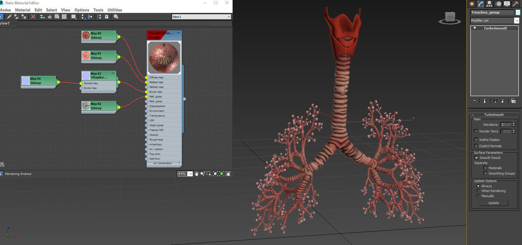 Anatomical Cross-Sectoion of LUNGS Low-poly 3D model_39