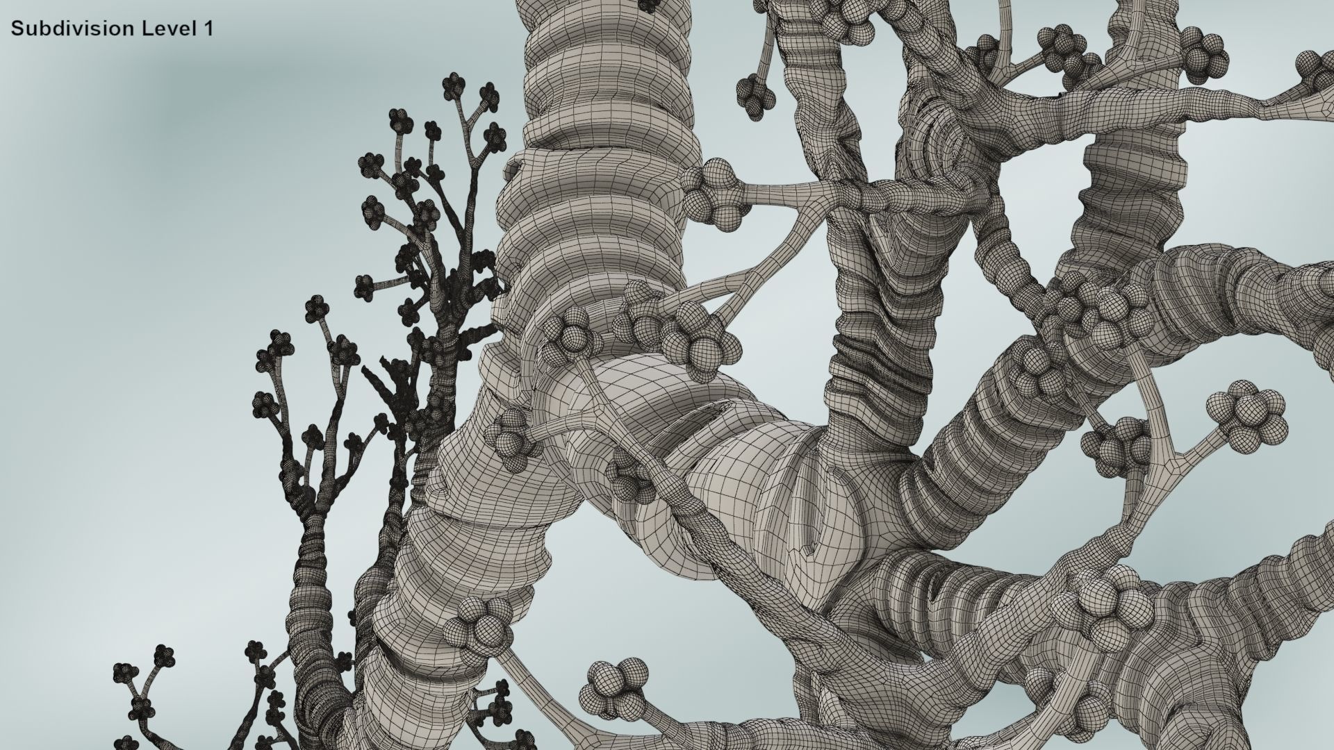 Anatomical Cross-Sectoion of LUNGS Low-poly 3D model_27