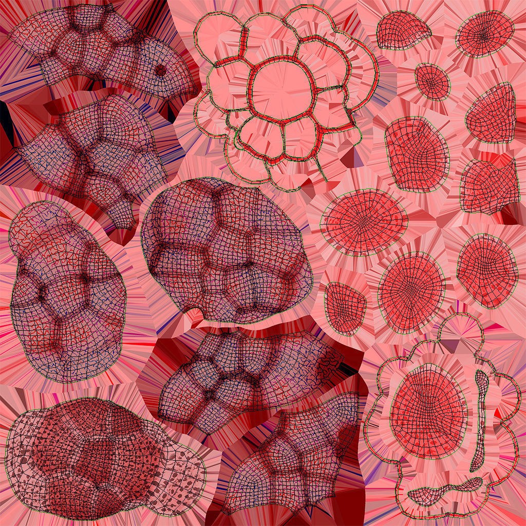 Anatomical Cross-Sectoion of LUNGS Low-poly 3D model_36