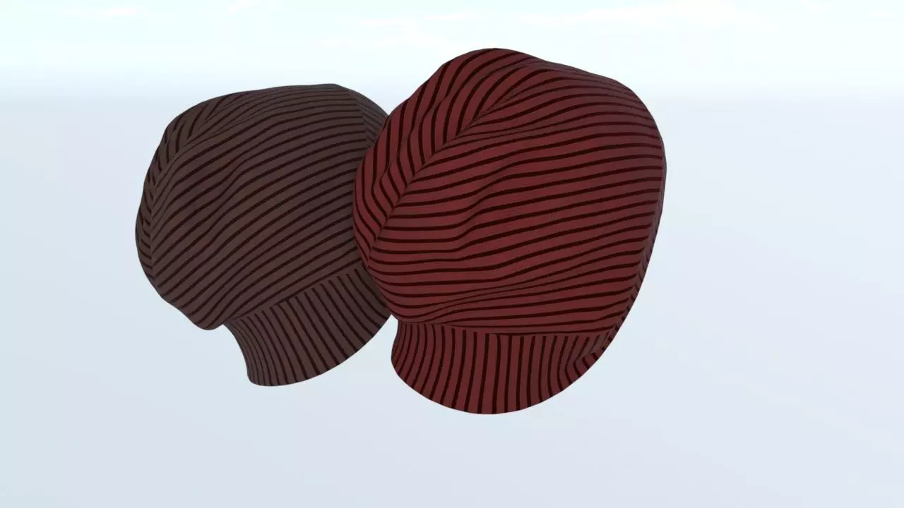 Beanie and bag 3D model_0