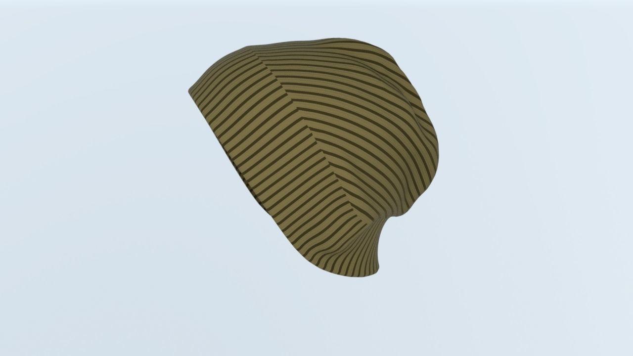Beanie and bag 3D model_2