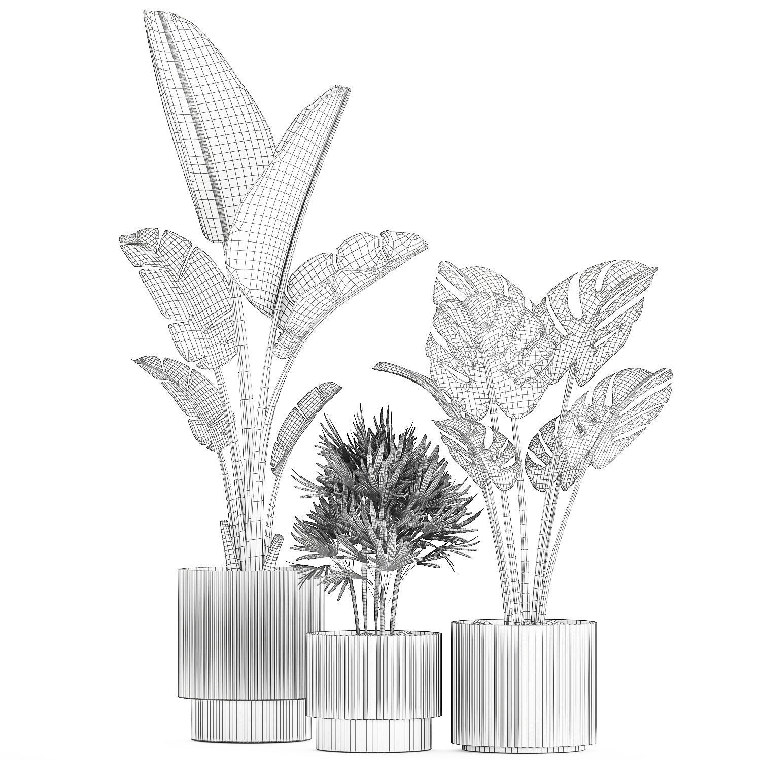 Set of small Strelitzia Monstera Raphis Palm plants 1452 3D model_13