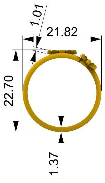 Anel Flor A1032 3D print model_5
