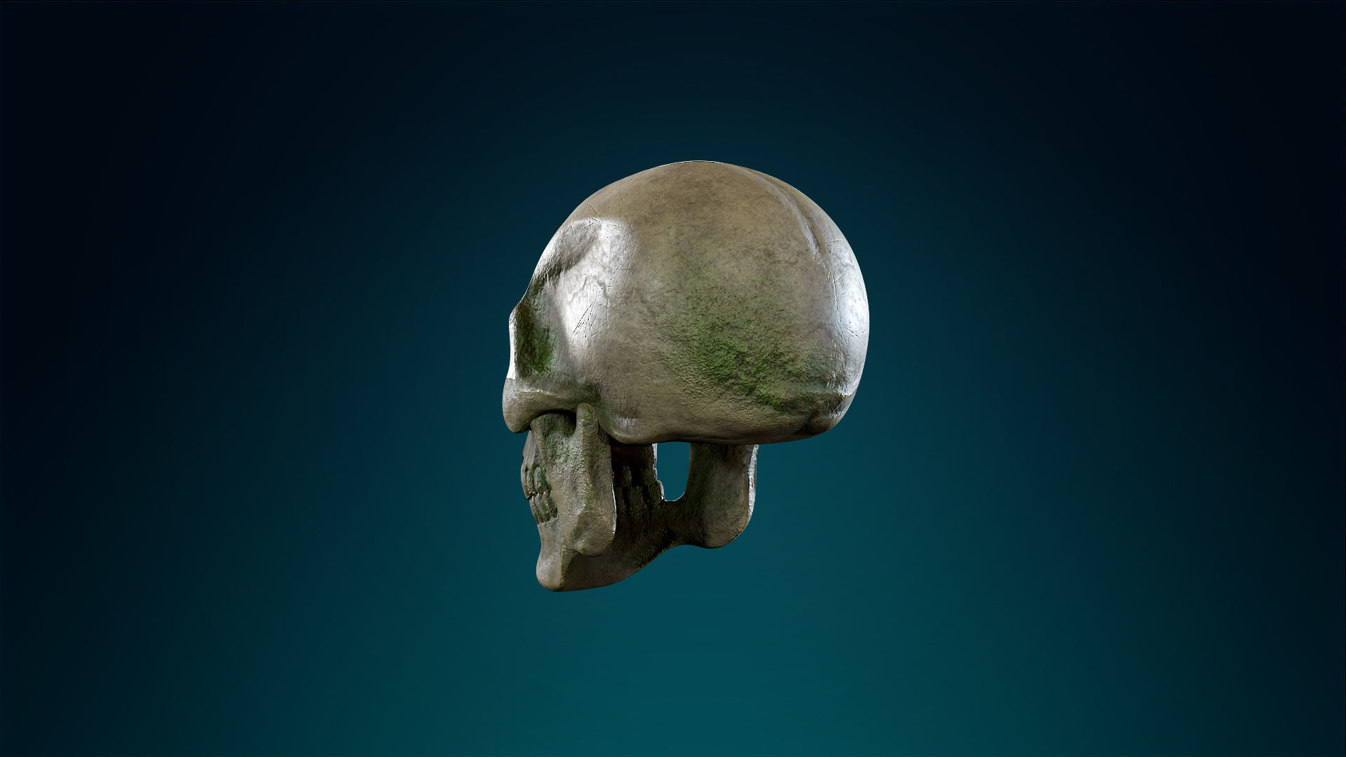 Human Skeleton Skull - Forest - Lowpoly - Game Ready Low-poly 3D model_14