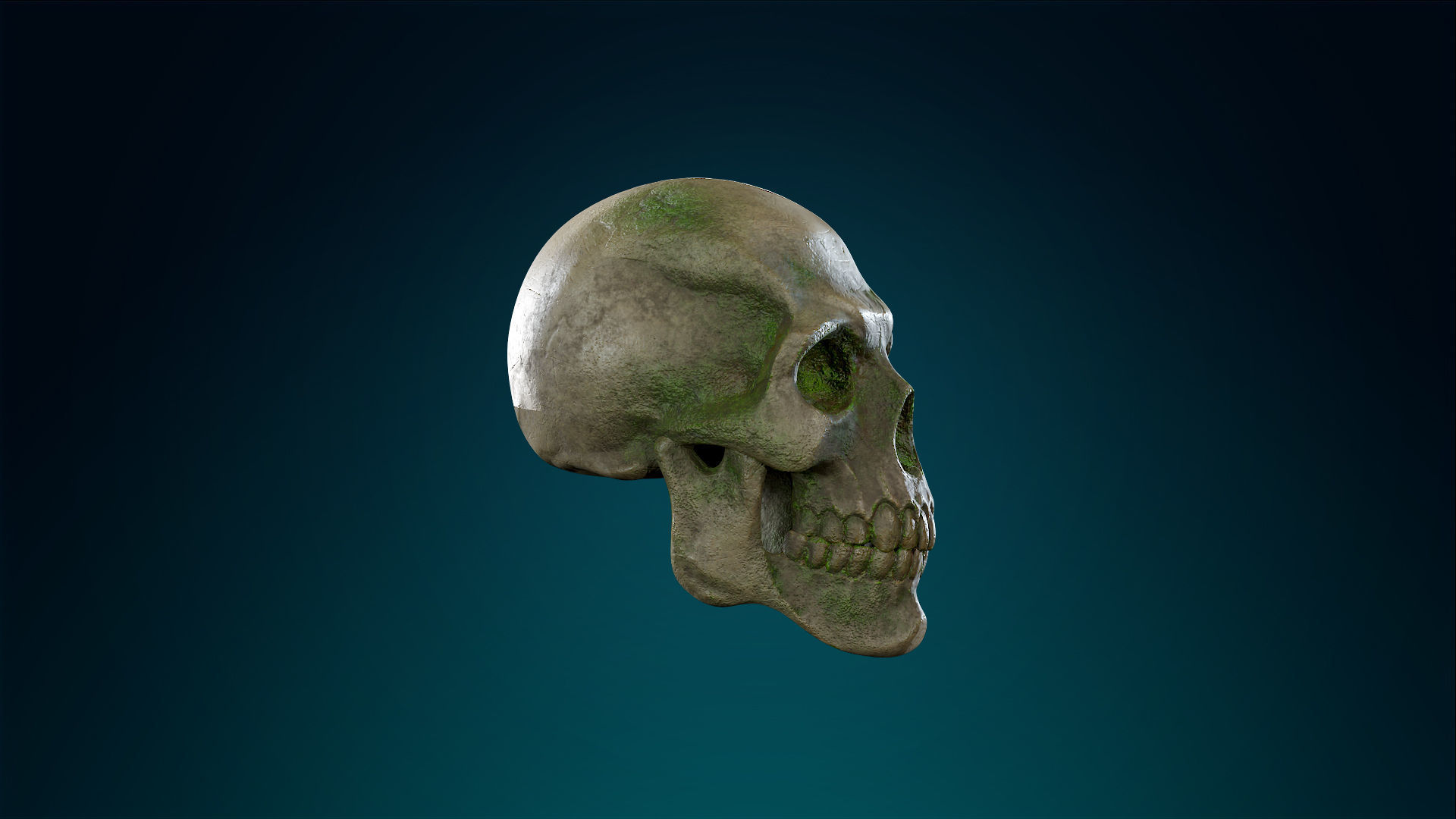 Human Skeleton Skull - Forest - Lowpoly - Game Ready Low-poly 3D model_7