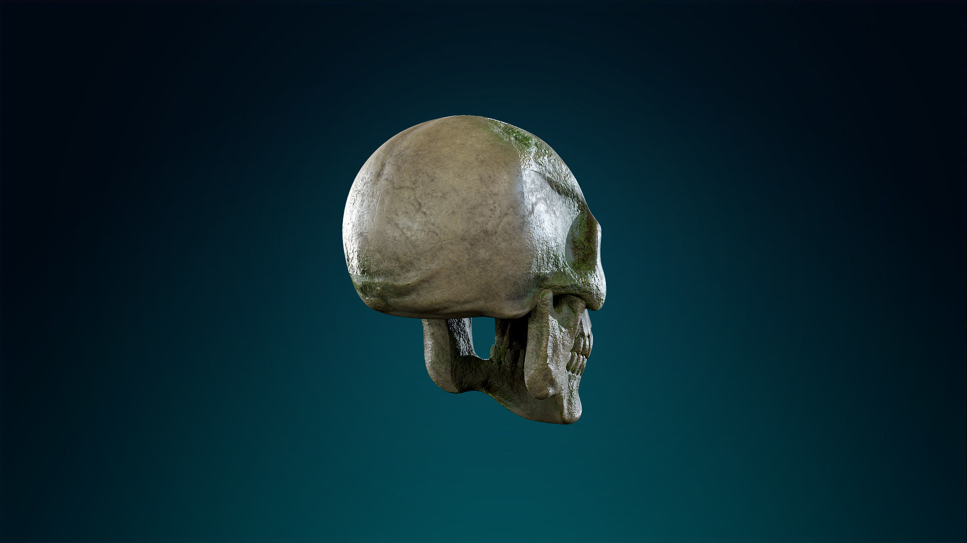 Human Skeleton Skull - Forest - Lowpoly - Game Ready Low-poly 3D model_10