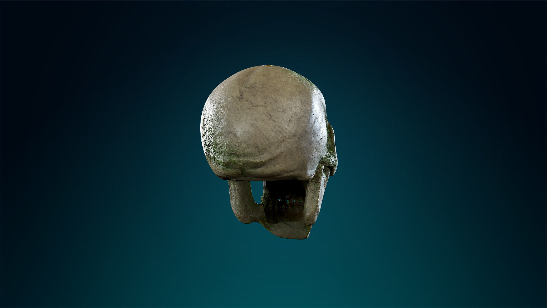 Human Skeleton Skull - Forest - Lowpoly - Game Ready Low-poly 3D model_11