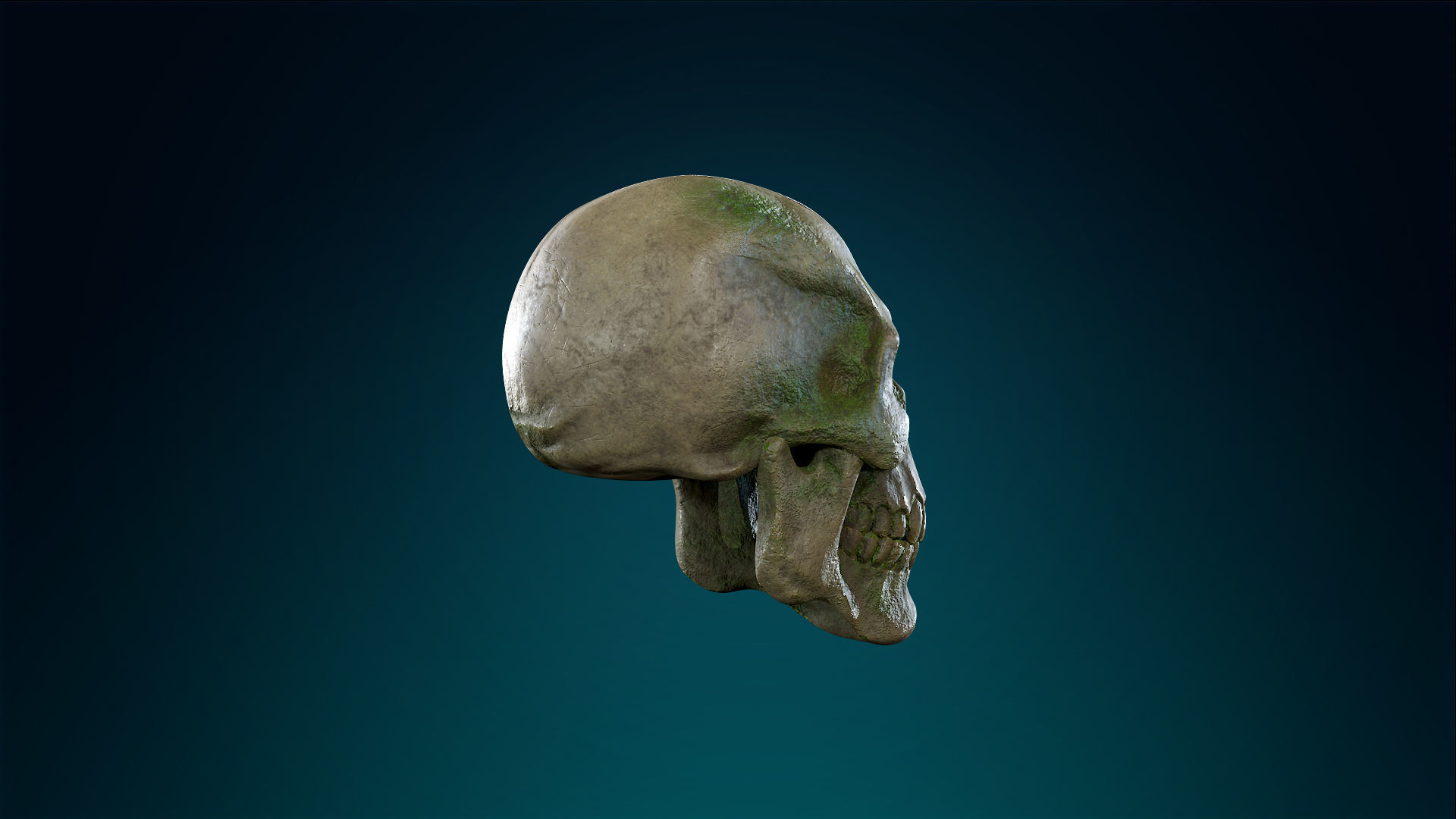 Human Skeleton Skull - Forest - Lowpoly - Game Ready Low-poly 3D model_9