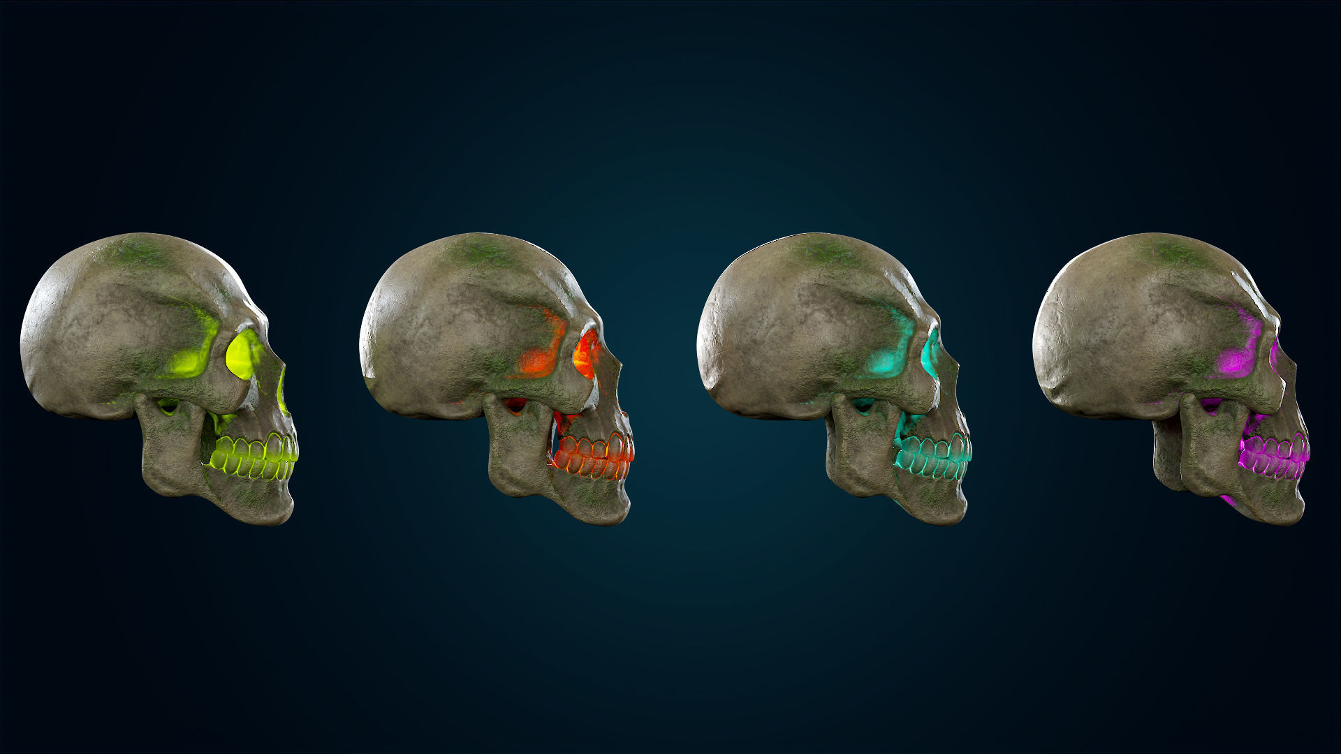 Human Skeleton Skull - Forest - Lowpoly - Game Ready Low-poly 3D model_22