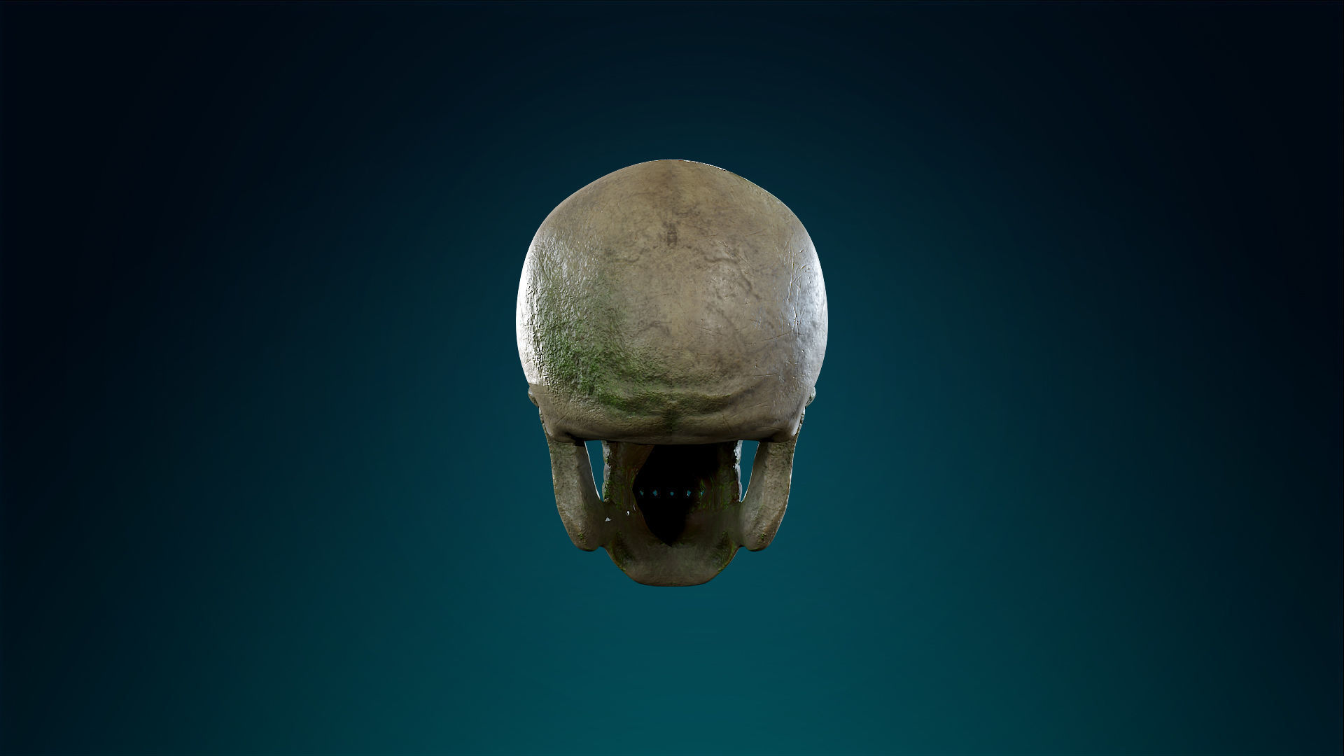Human Skeleton Skull - Forest - Lowpoly - Game Ready Low-poly 3D model_12