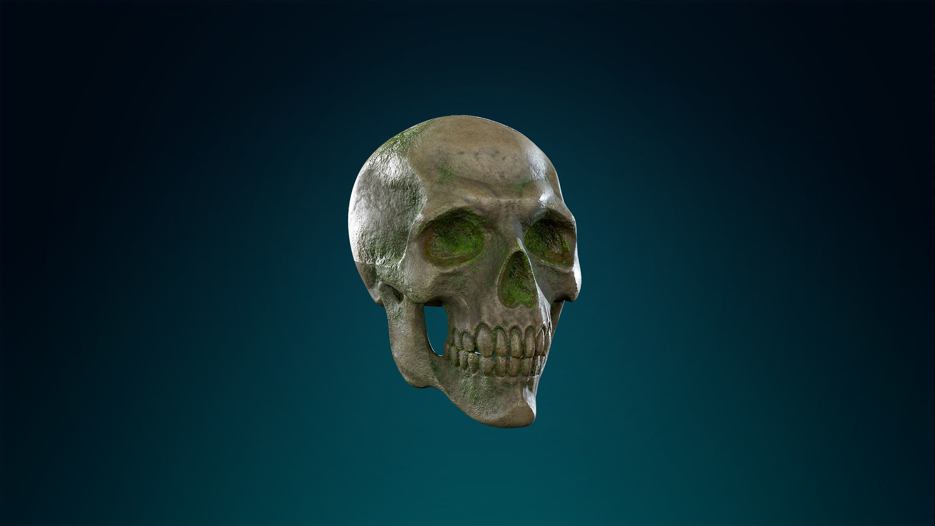 Human Skeleton Skull - Forest - Lowpoly - Game Ready Low-poly 3D model_5